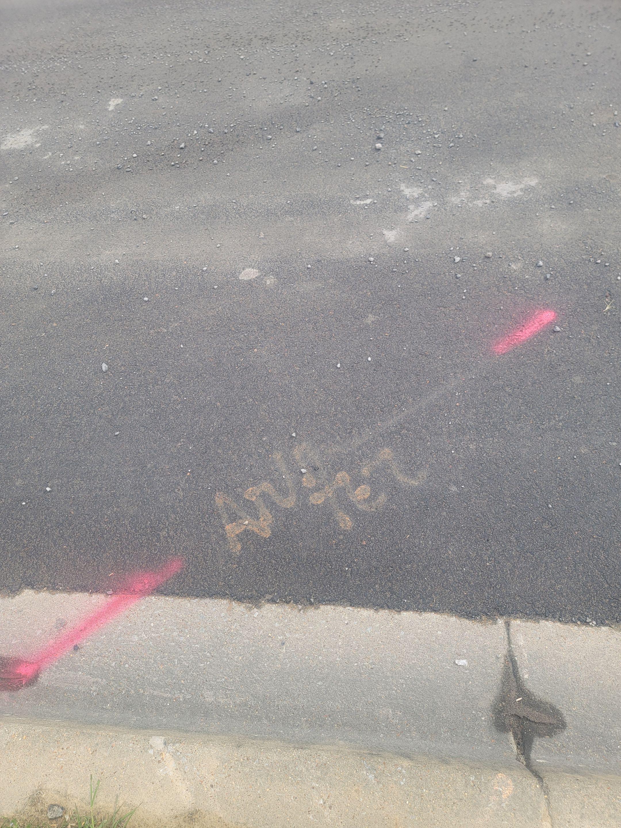 Locating voids and areas of concern for parking lot repairs by Alsip Locating Service, LLC