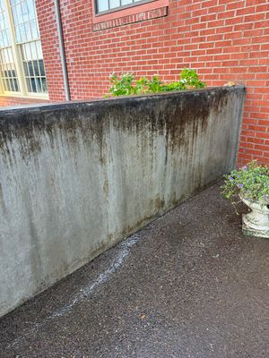 Fresh & Clean: Concrete - Lincoln City