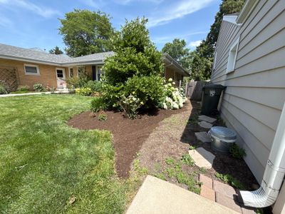 Cheris B. - Mount Prospect, IL