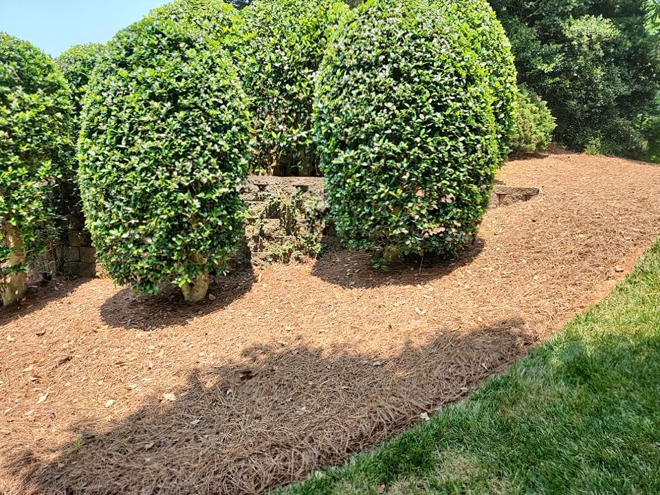 concrete Clean using cleaner by G&H Home Tech Pros LLC