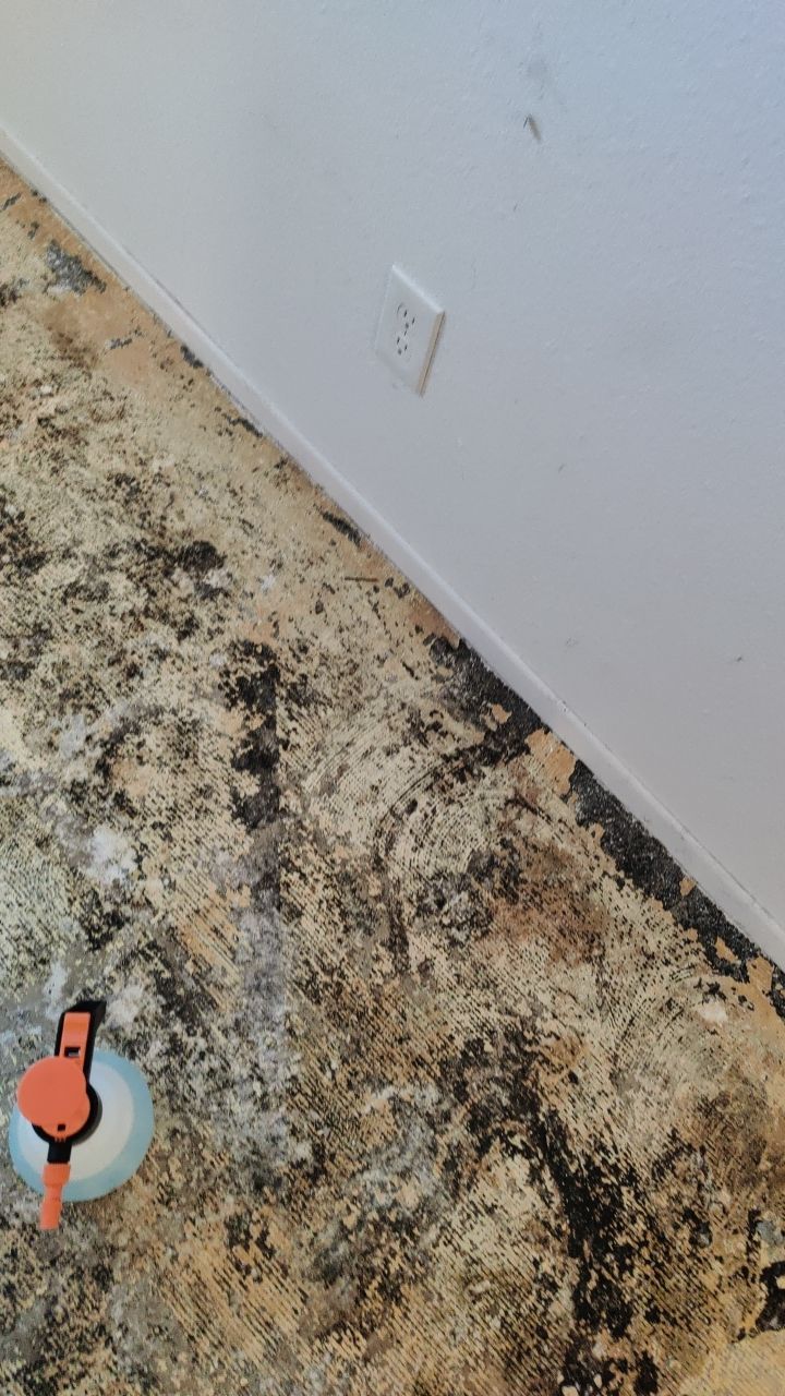 Water Damage by Accountable Home Services