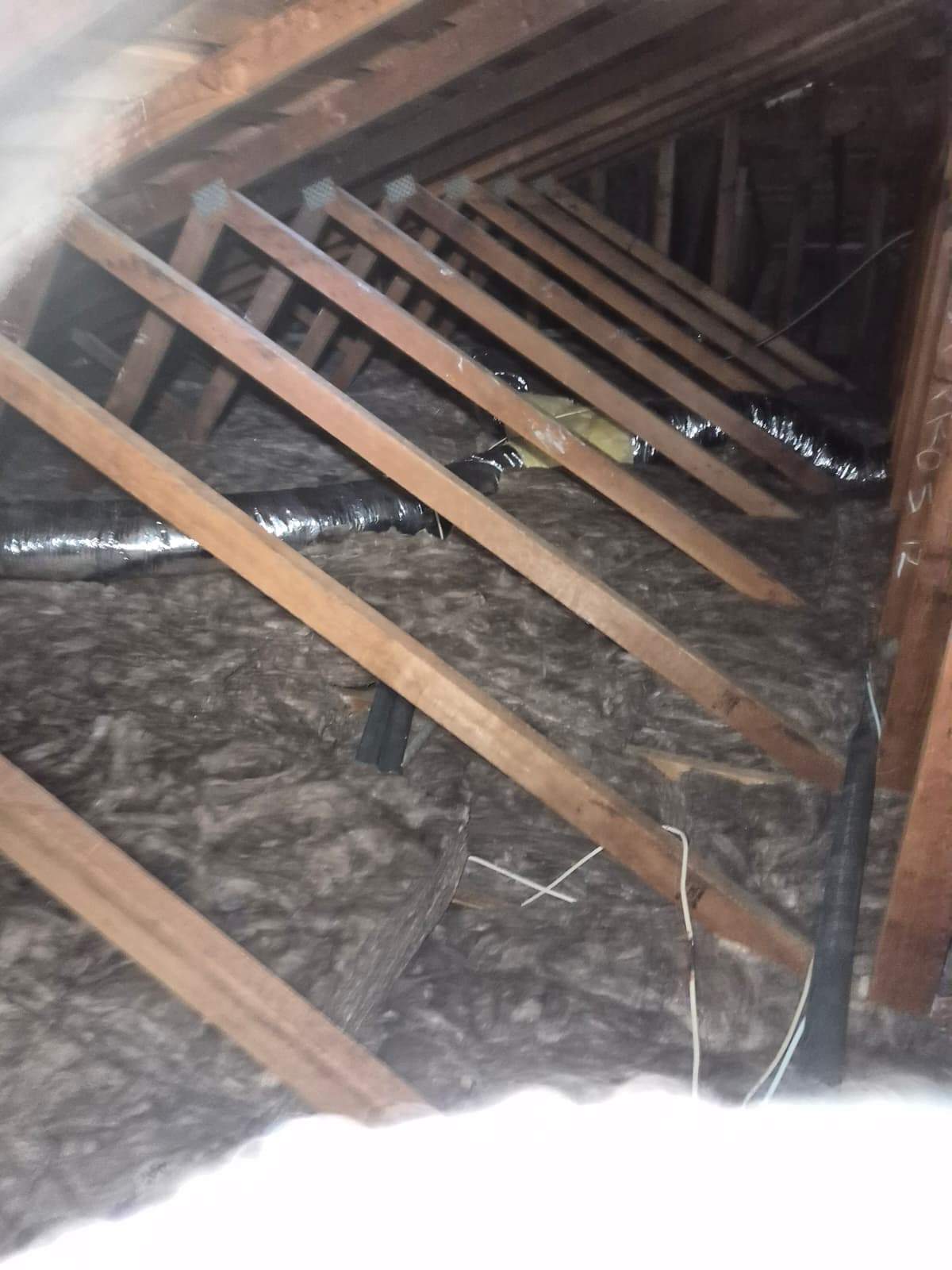 Project by Advanced Attic Solutions by Advanced Attic Solutions