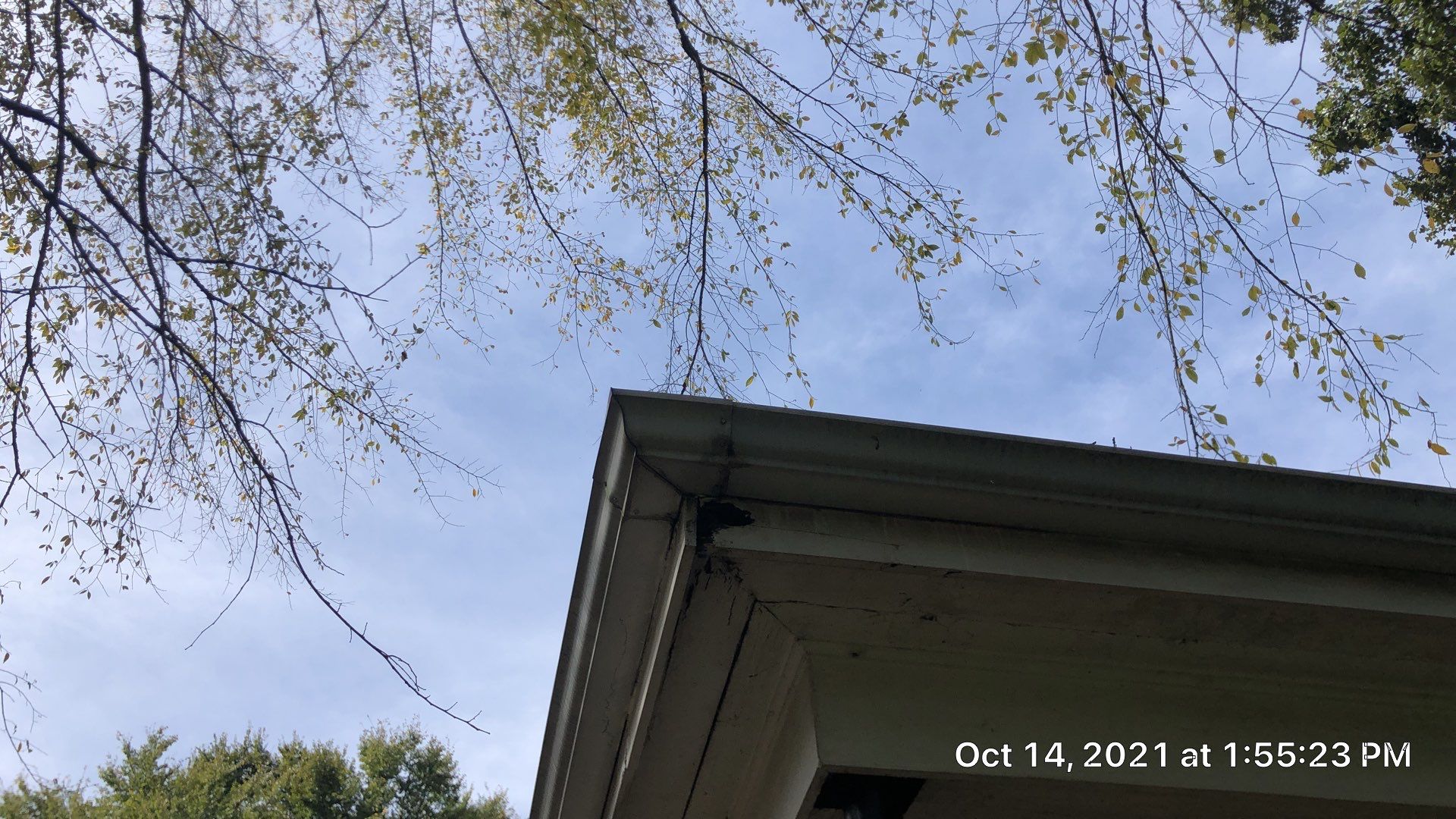 Residential Roofing Installation using Atlas Pinnacle Pristine- Black by Just In Time Roofing and Restoration