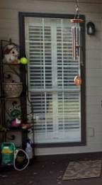 Woodham Project in Helena by The Window Source