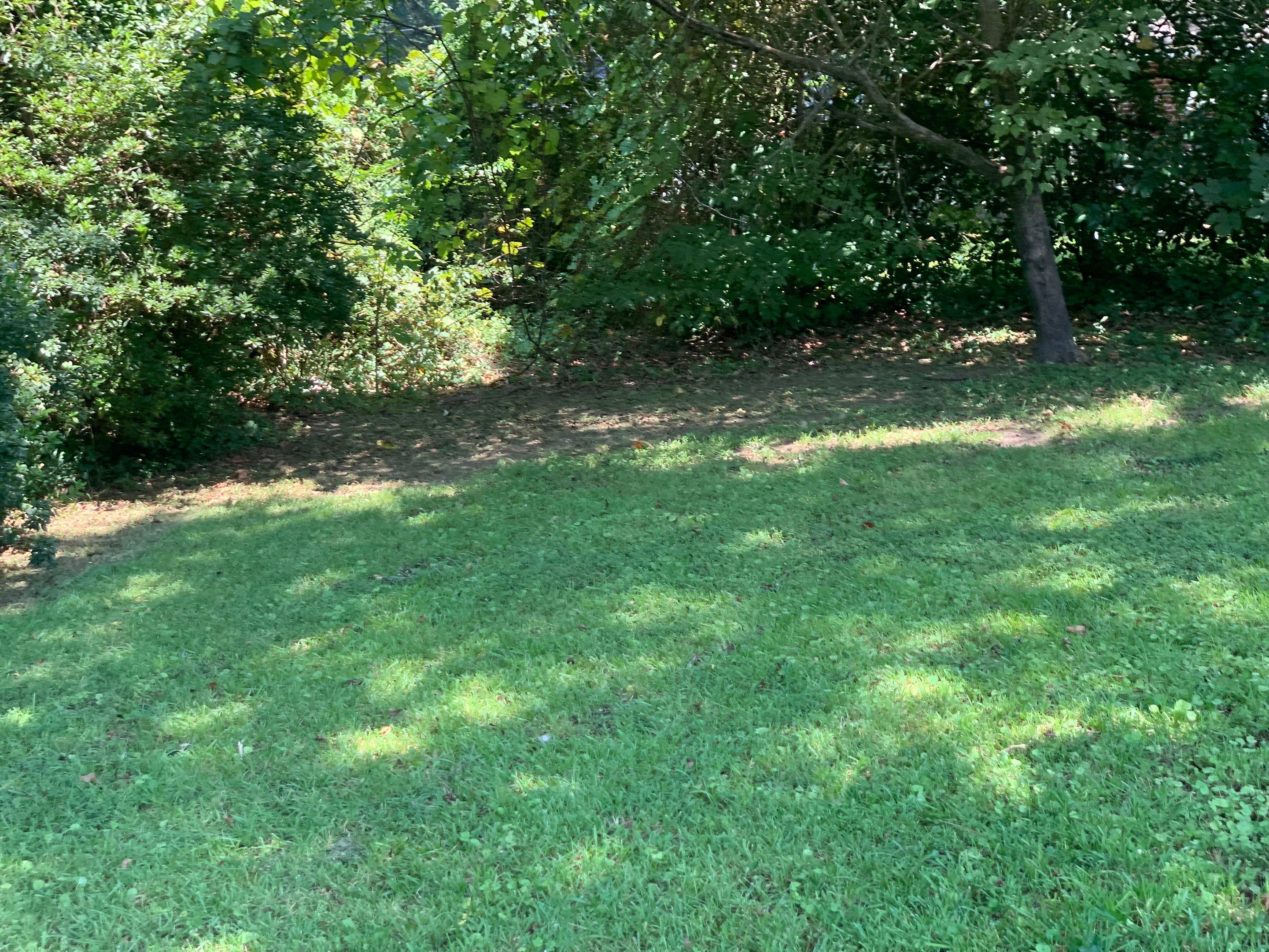 Yard Makeover by College Bros Outdoor services