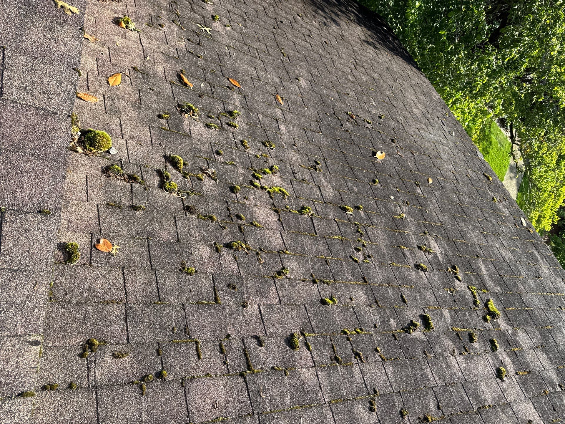 The Pierces by United Contracting and Roofing