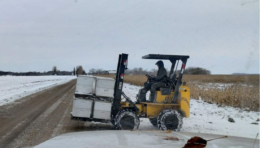 BeeGirl's Honey House in the Midwest by Rockwall Honey Bee Company