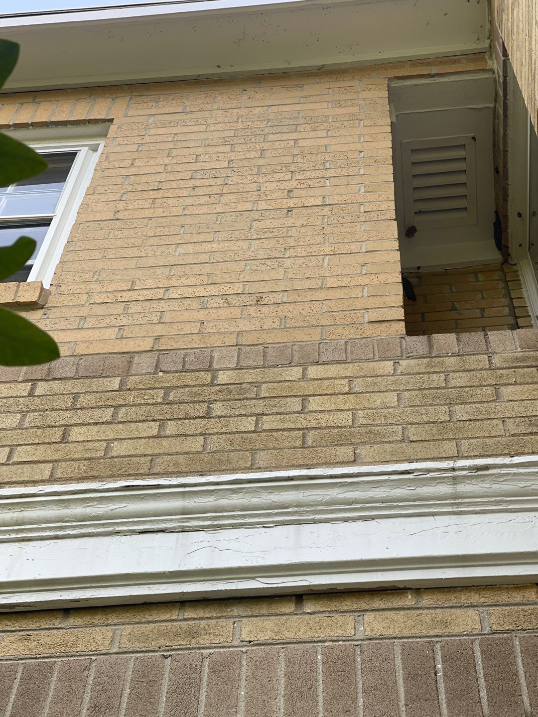 House, Pool & Rear Patio, Garage & Fence by SJ Exterior