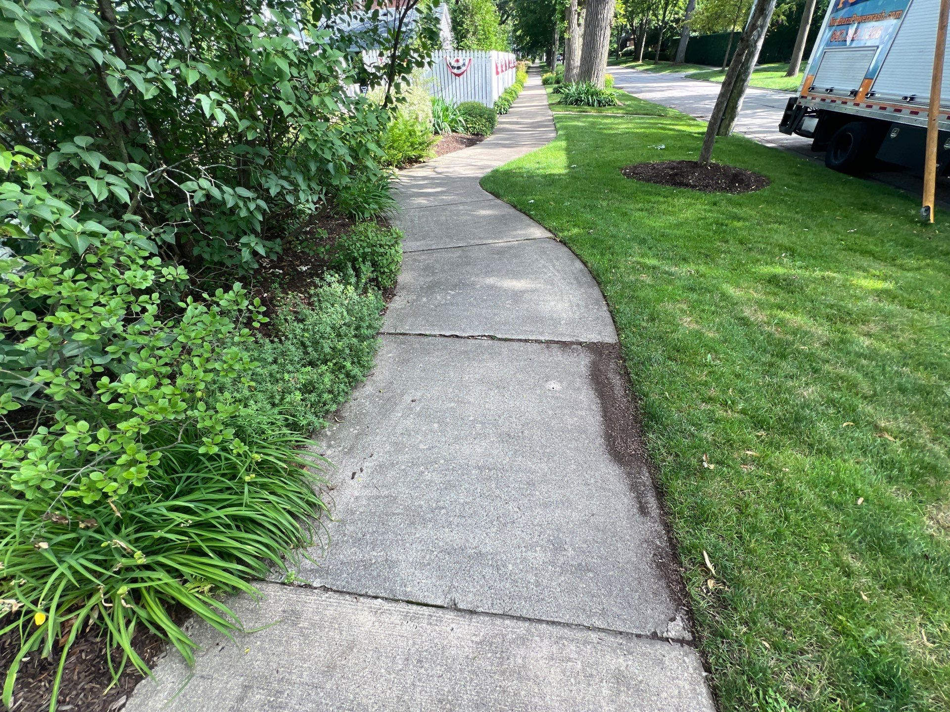 concrete cleaning using Algaecide, soft wash soap by Northern Power Washing LLC.