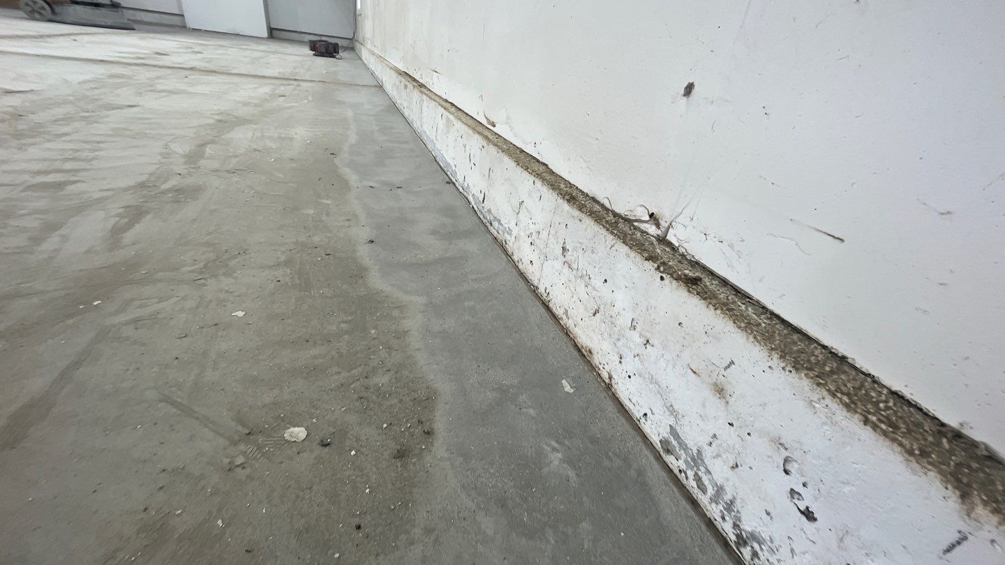 Garage using Silver Creek by Select Painting, Coatings & Garage Cabinets