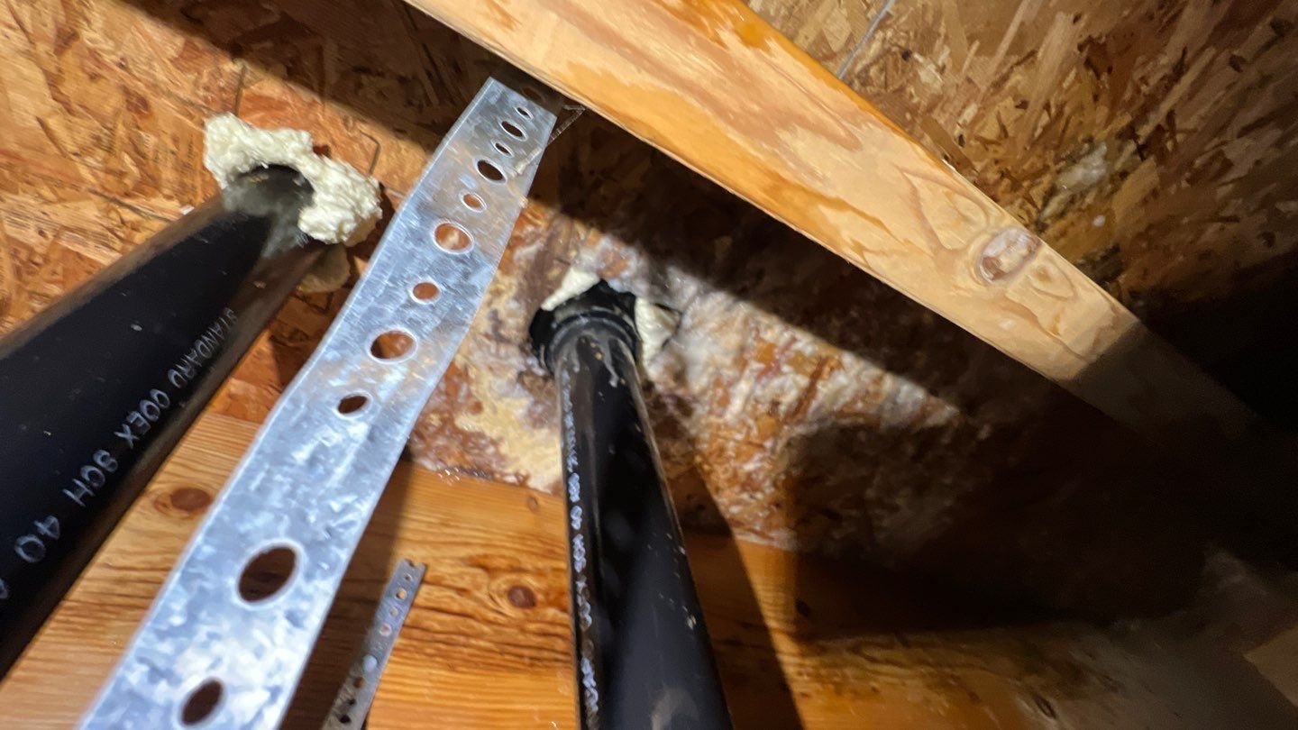 Mold Damage by Accountable Home Services