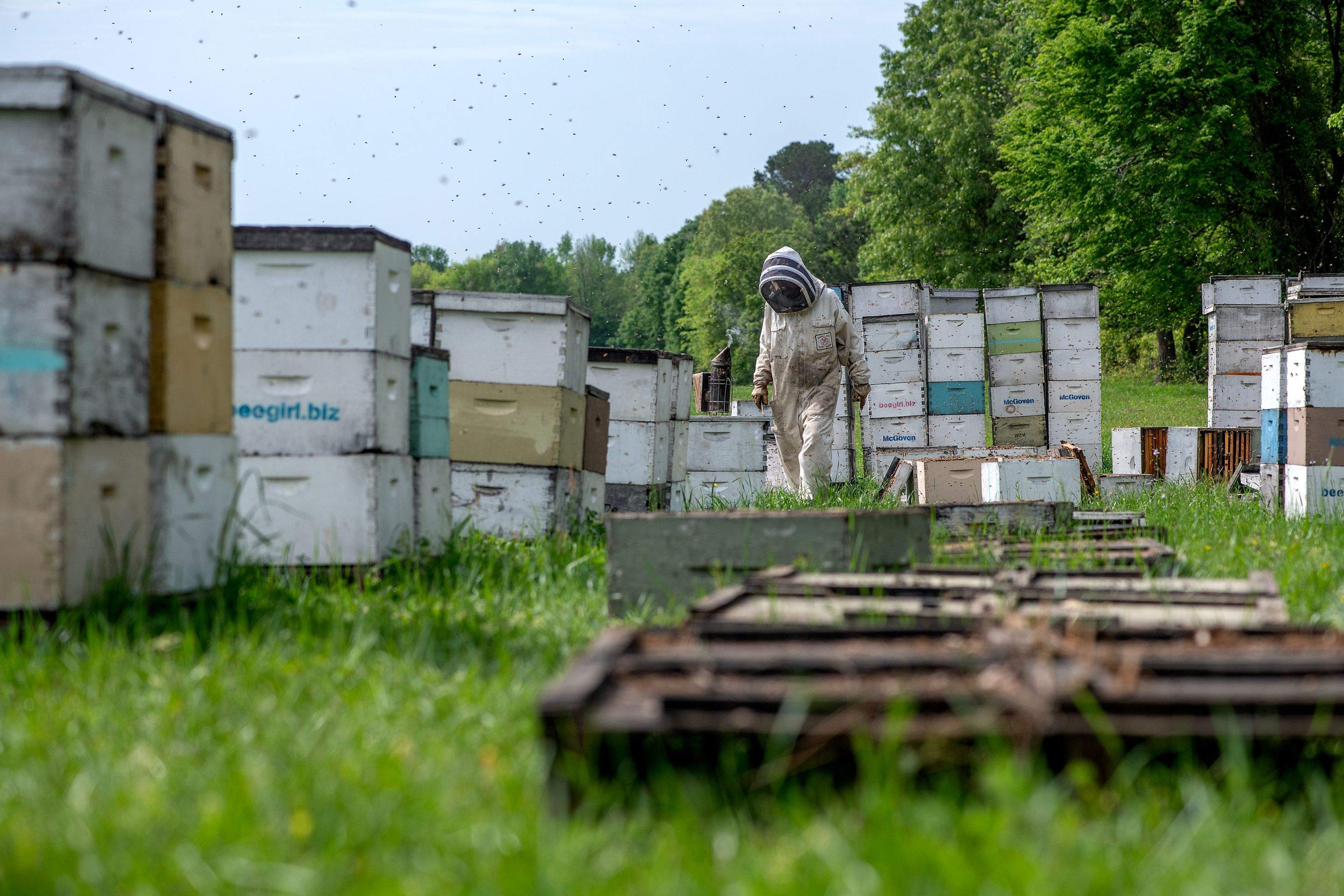 Splits in East Texas by Rockwall Honey Bee Company