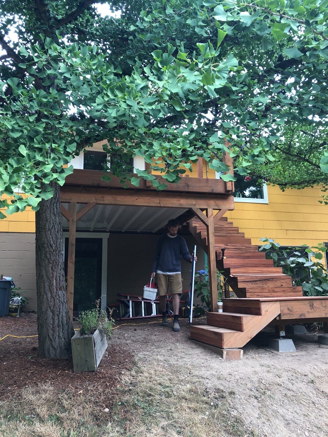 Tigerwood Masterpiece by Alki deck builders 