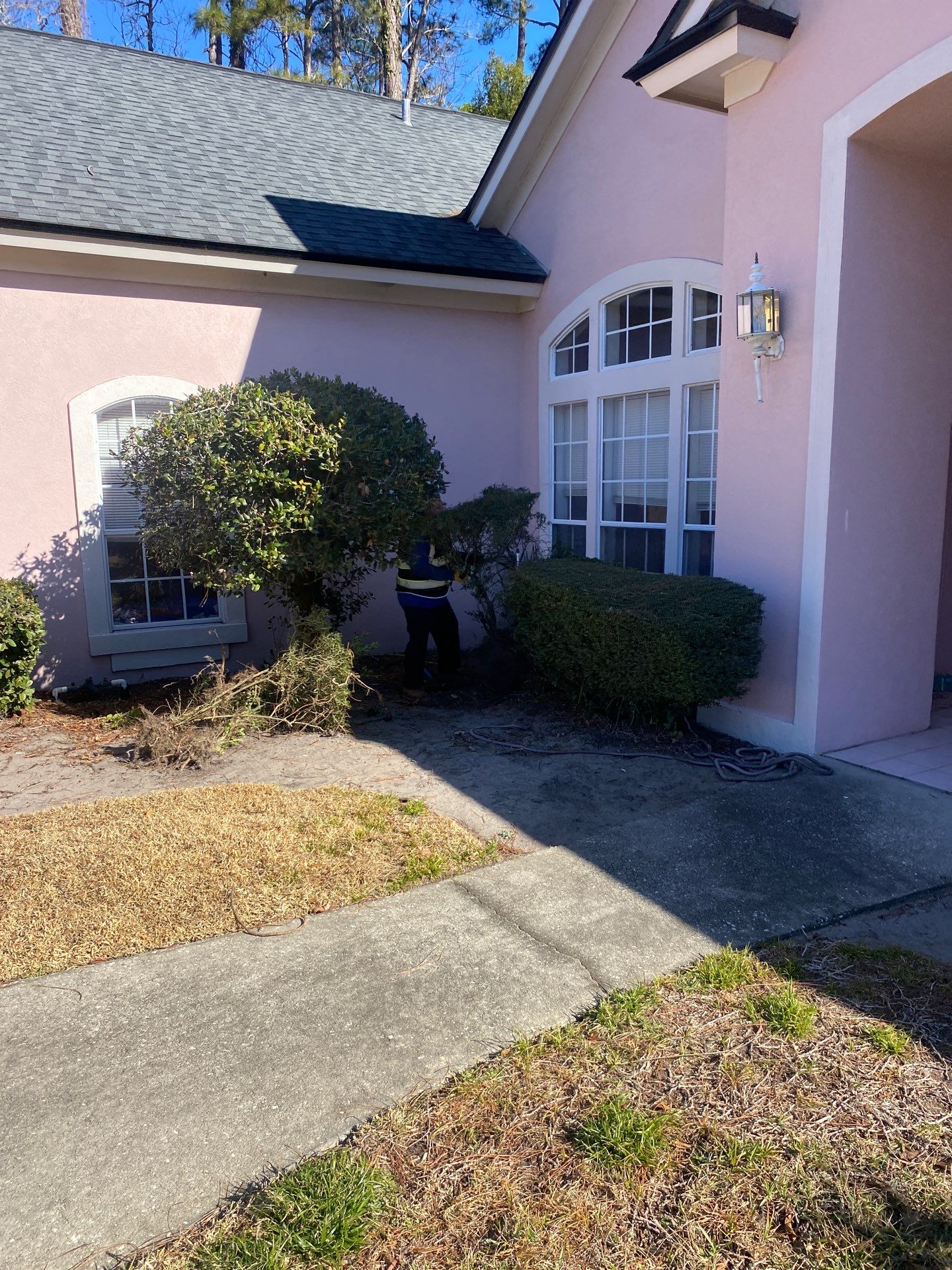 Deerwood Resident | Tree Removal & Clean-Up by ProGreen Services