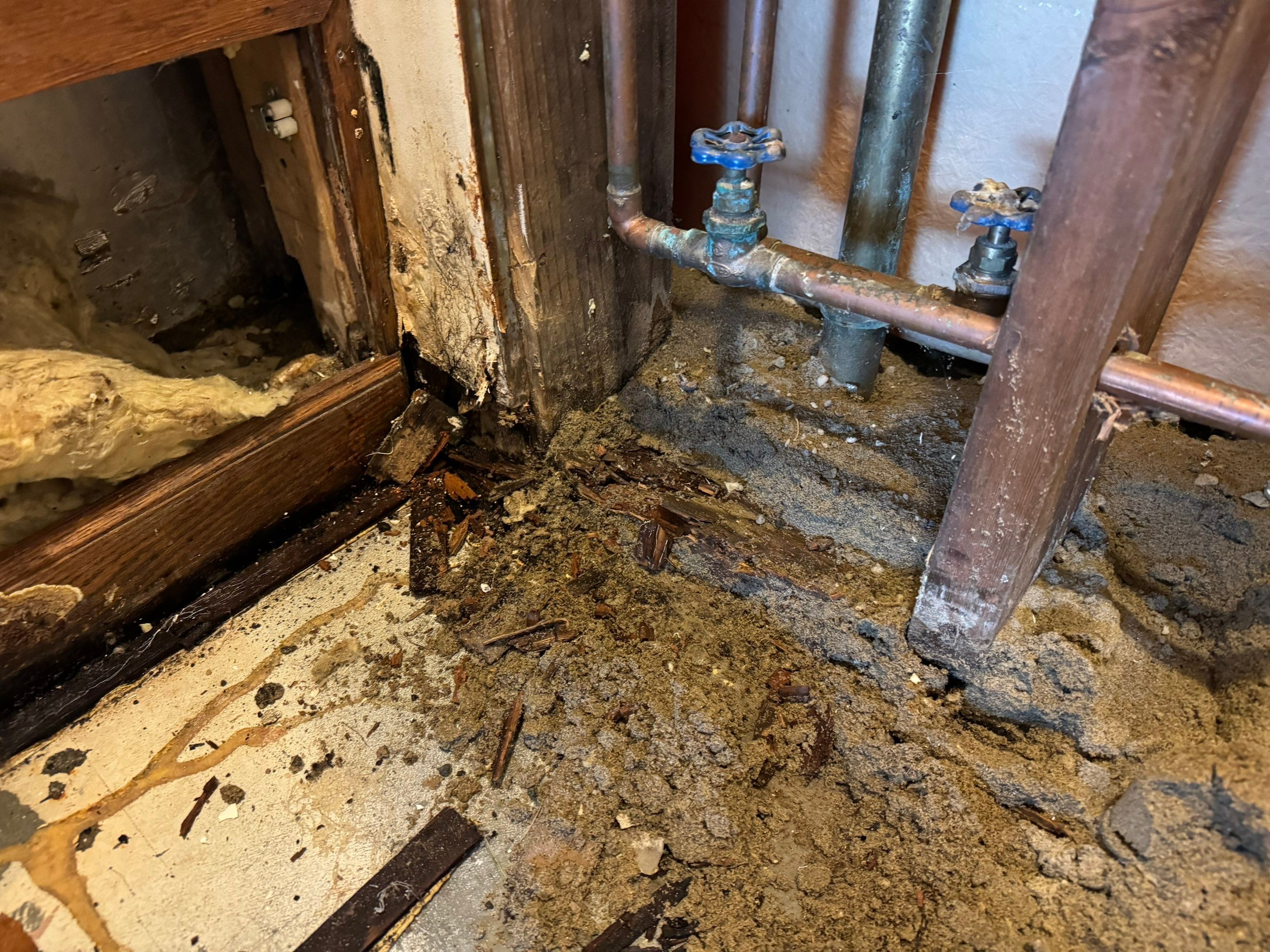 Major Basement Remediation / Restoration by Home Guarantee, LLC