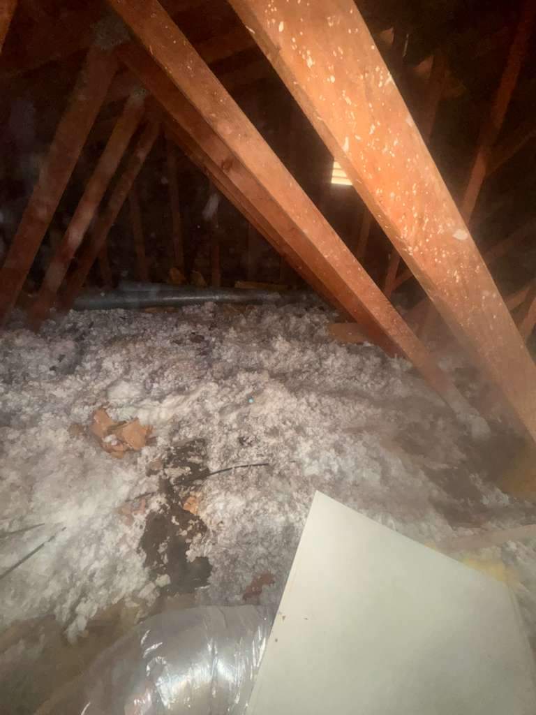 Project in Newport Beach by Advanced Attic Solutions