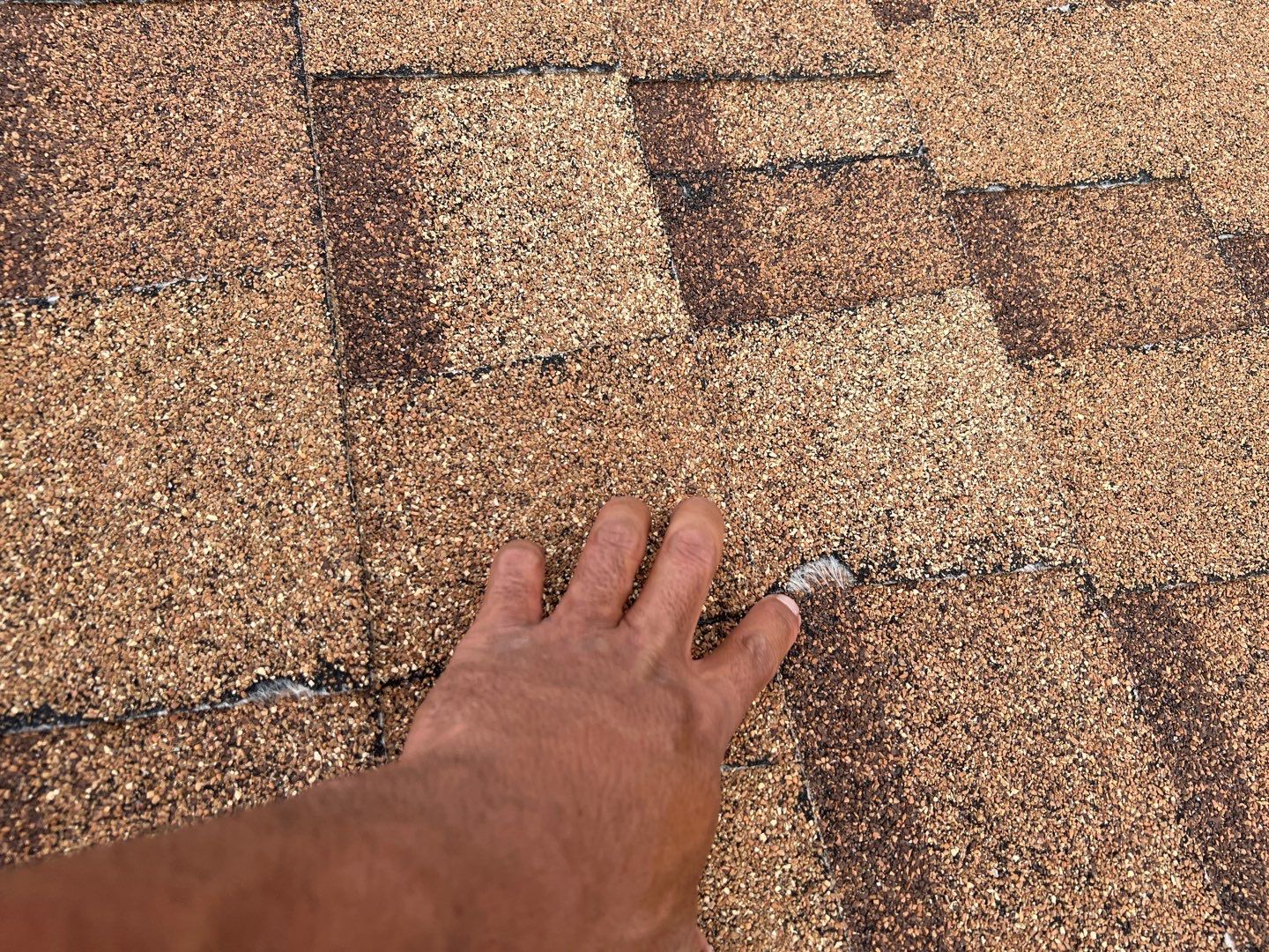 Jenna's Re-Roof and Ridge Vents by All Storm Roofing & Construction