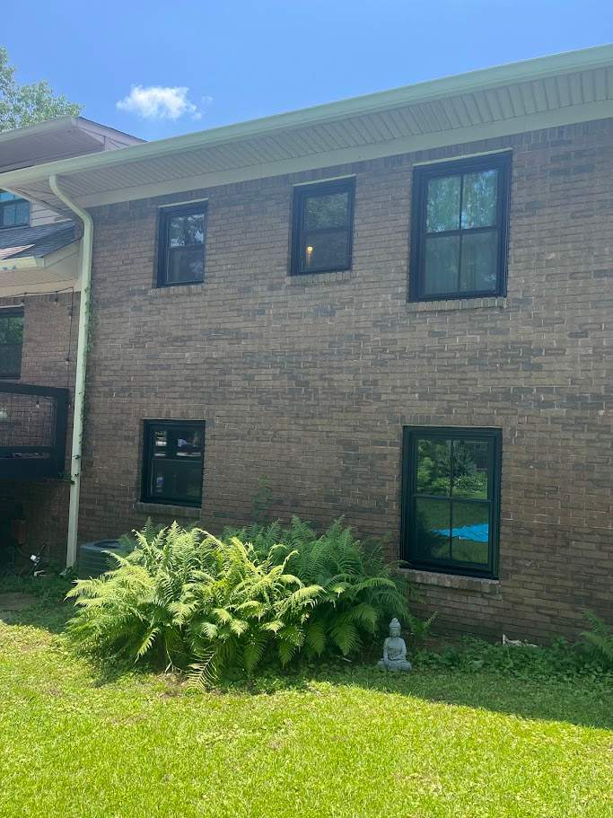 Pantanzis Project in Birmingham by The Window Source