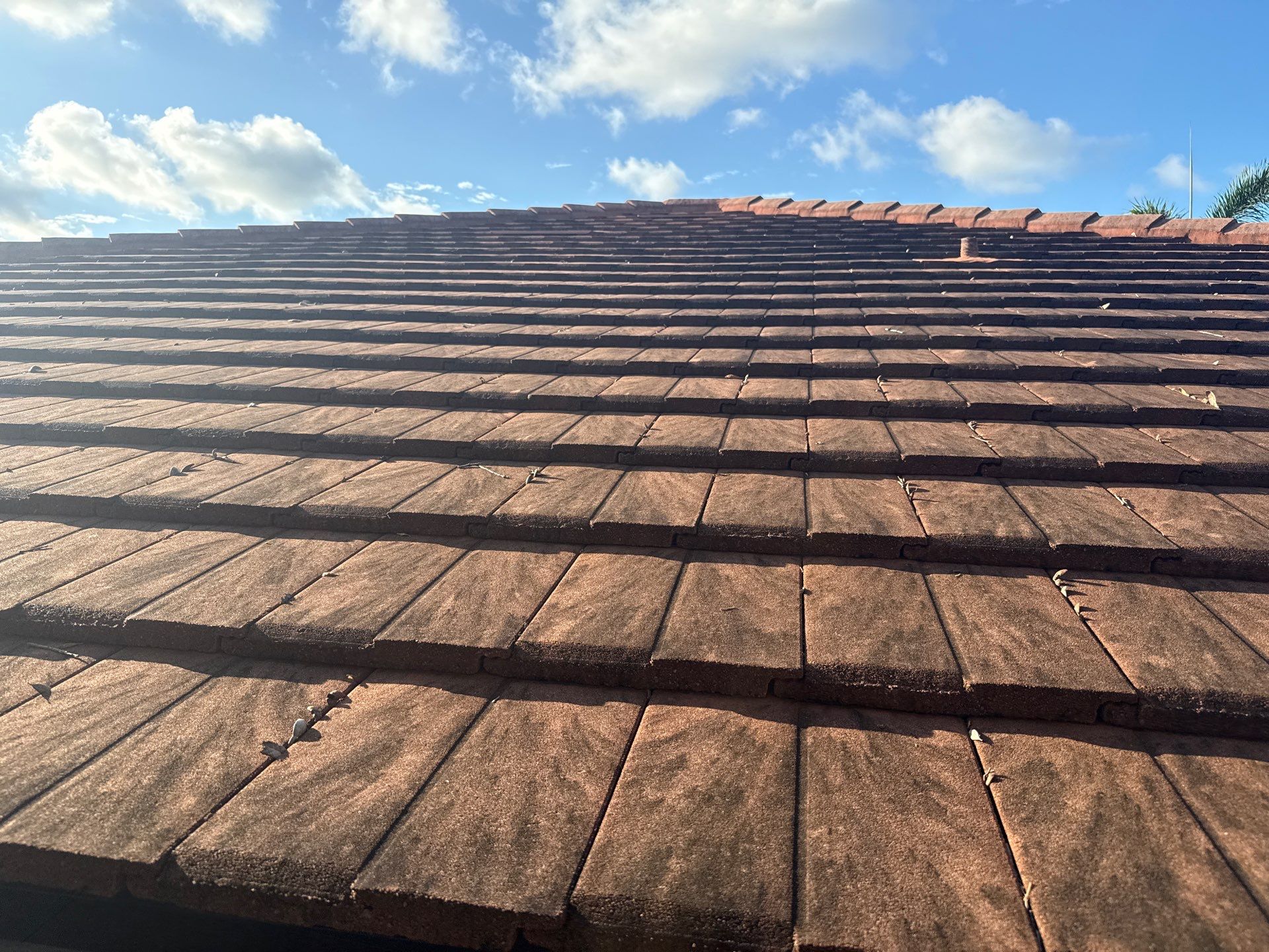 Tile Roof, Driveway & Patio Cleaning – Vivienda at Bradenton I by Sunshine AquaWash