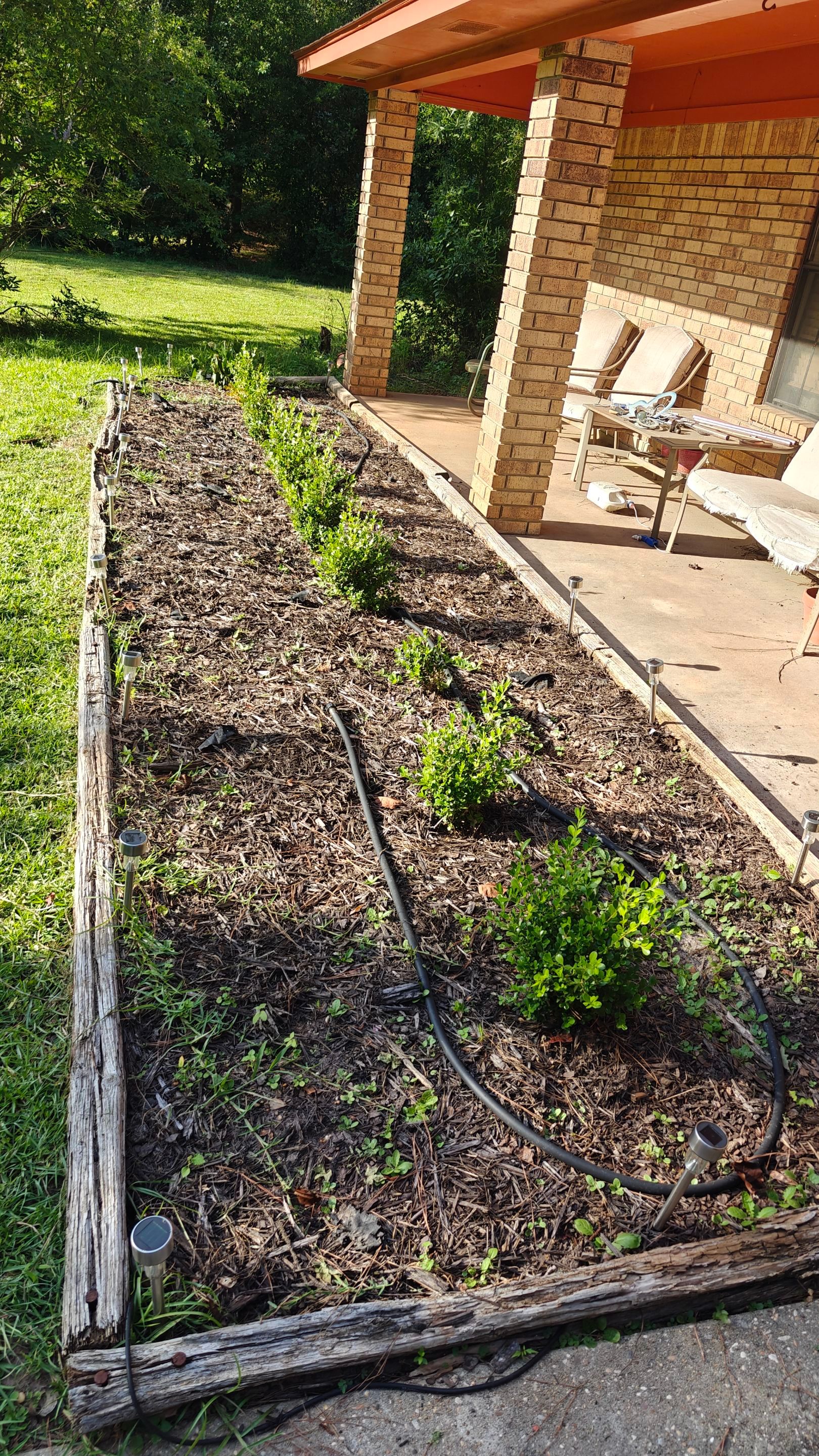 Bi Weekly Landscaping/ Weeding  by College Bros Outdoor services