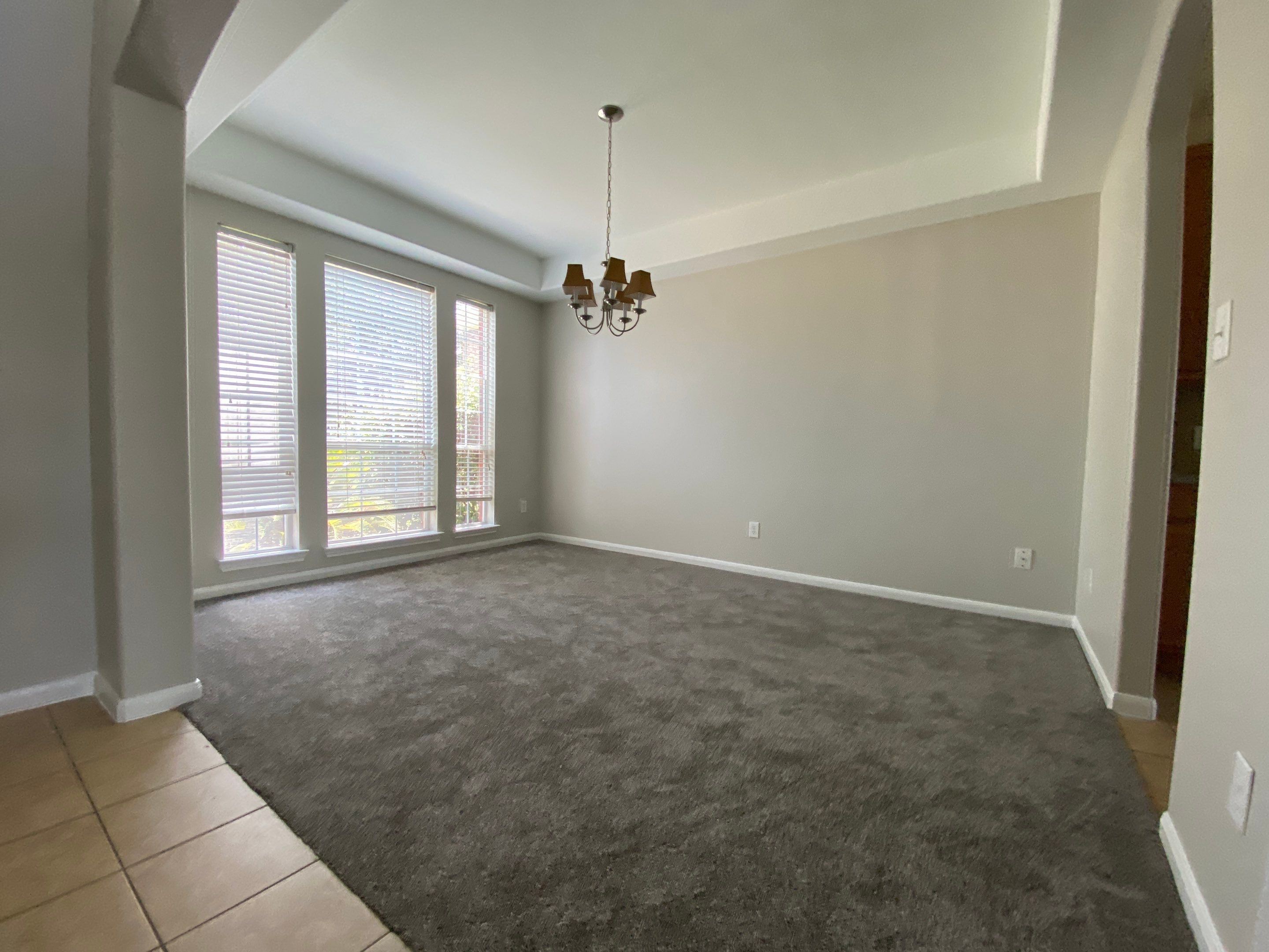 Carpet/Paint/Countertop - Celeste M. by 360 Construction & Roofing