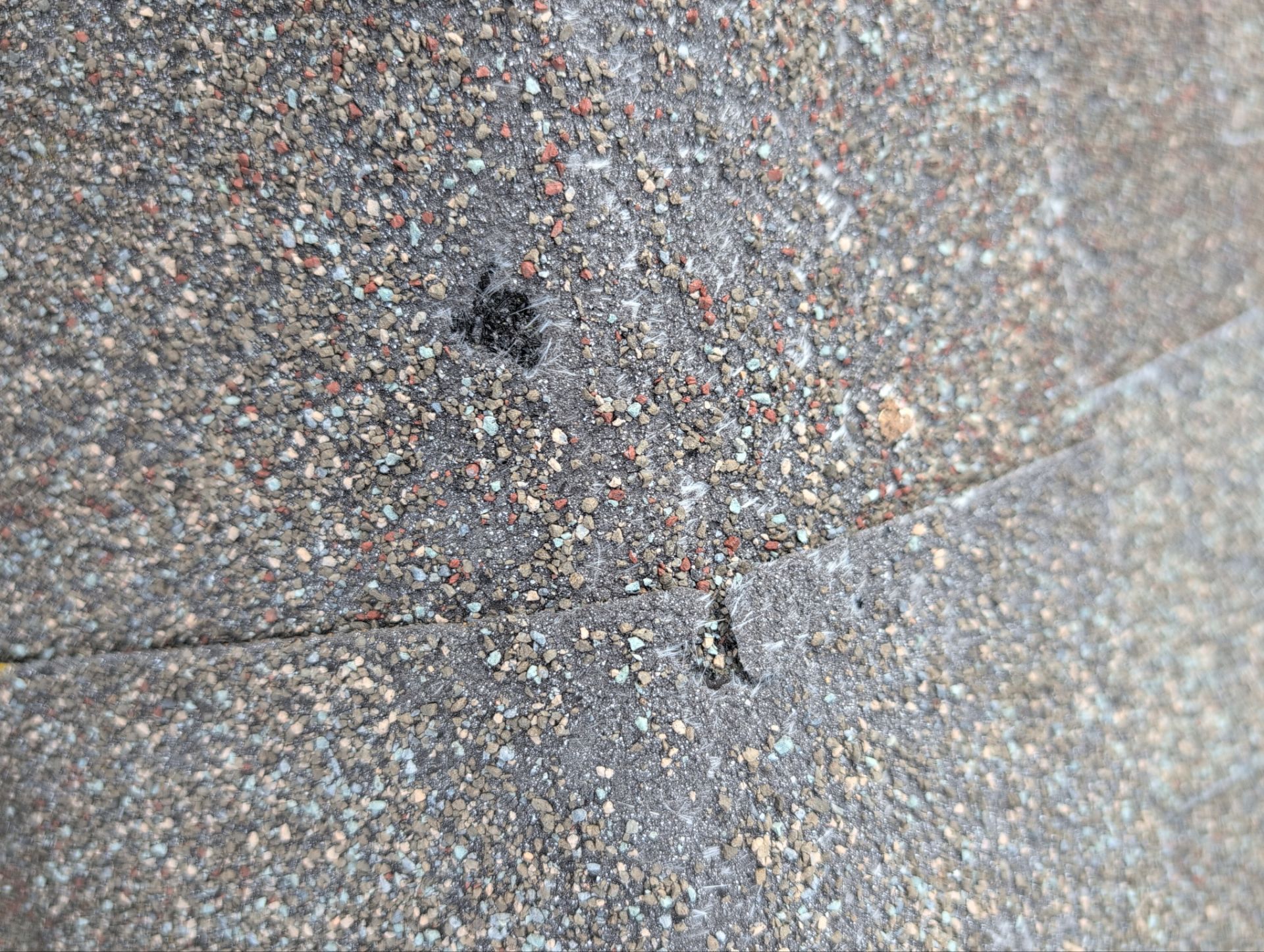 Roof Replacement & Seamless Gutters in Ozark by Table Rock Design + Build