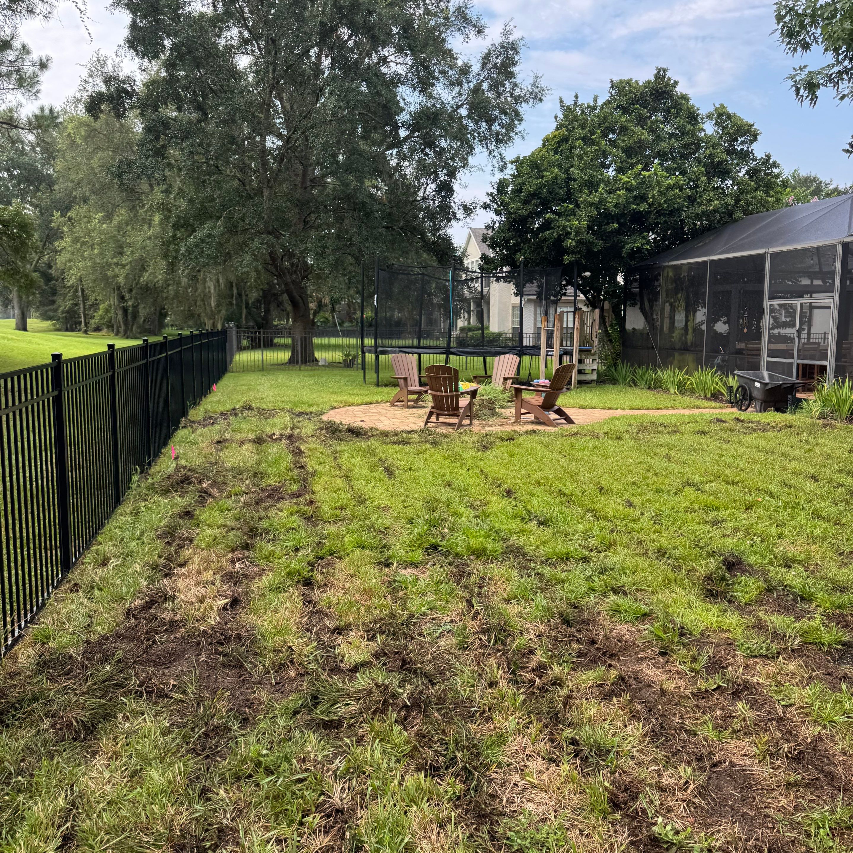 Residential | Sod Installation & Tree Trimming by ProGreen Services