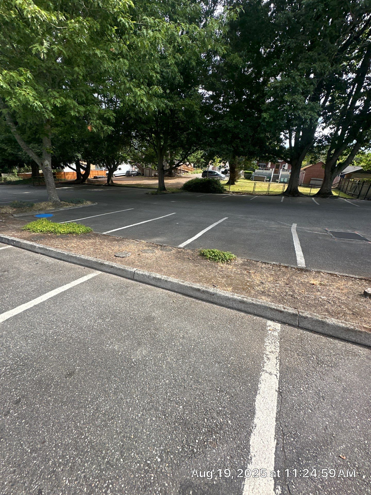 Our Savior's Lutheran Church | Everett   by Jireh Asphalt & Concrete Inc 