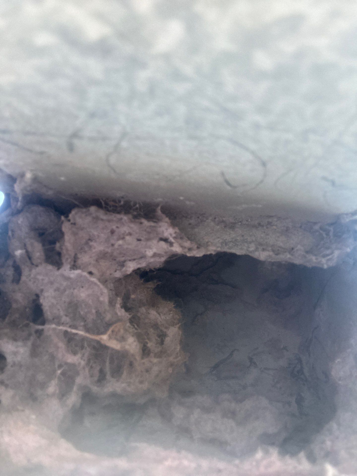 Dryer Vent Cleaning & Attic Joint Sealing — Clermont by Hygienic Air, Inc