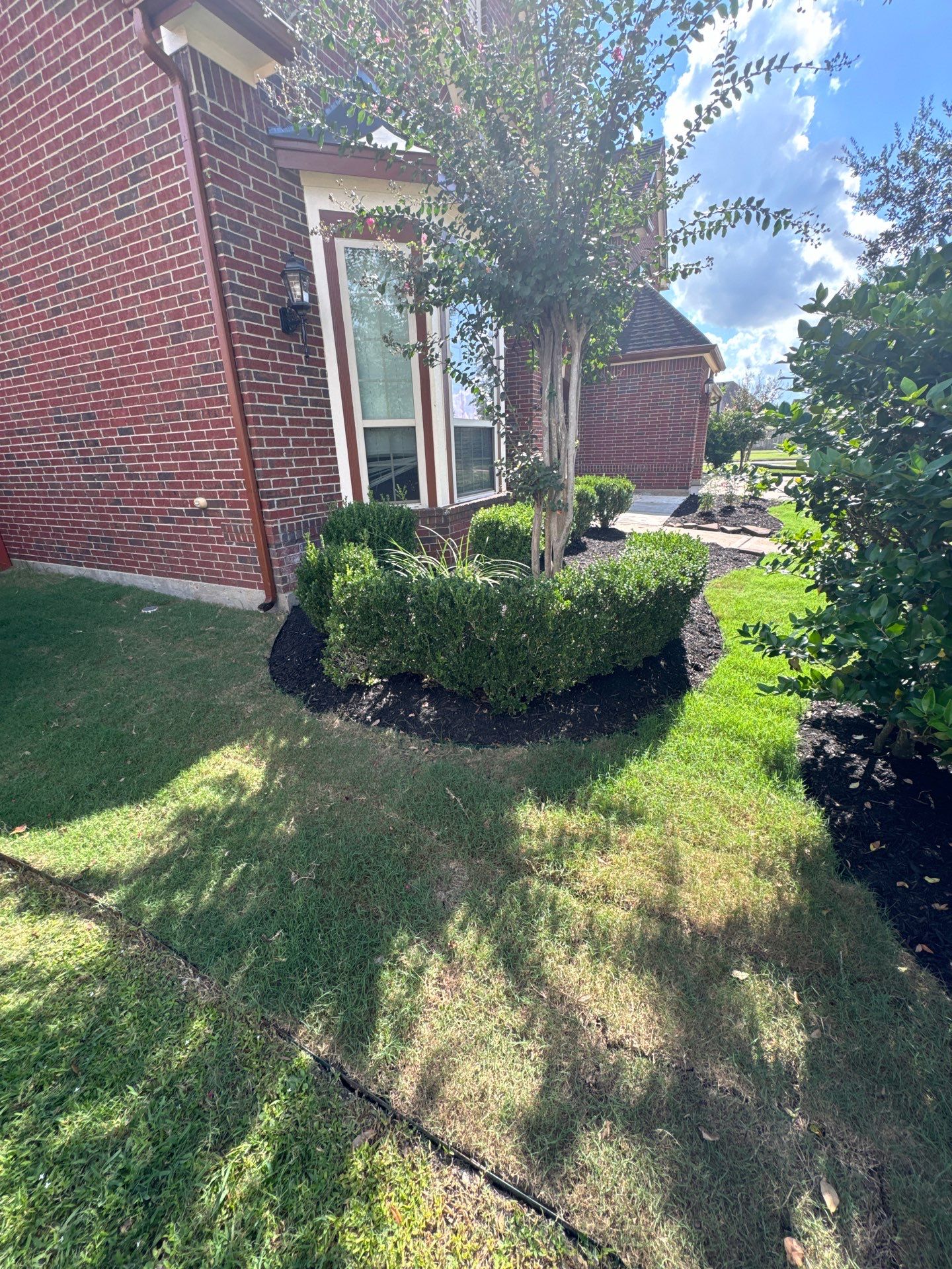 🌿🏡 Project Spotlight: Front Yard Curb Appeal Rescue for Mr. B. Khara by Texas Urban Elements