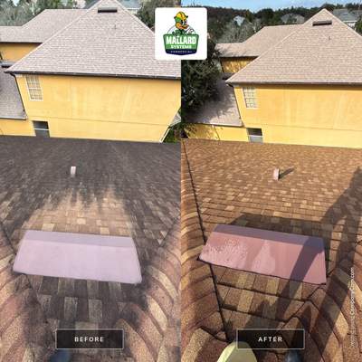 Shingle Roof Cleaning