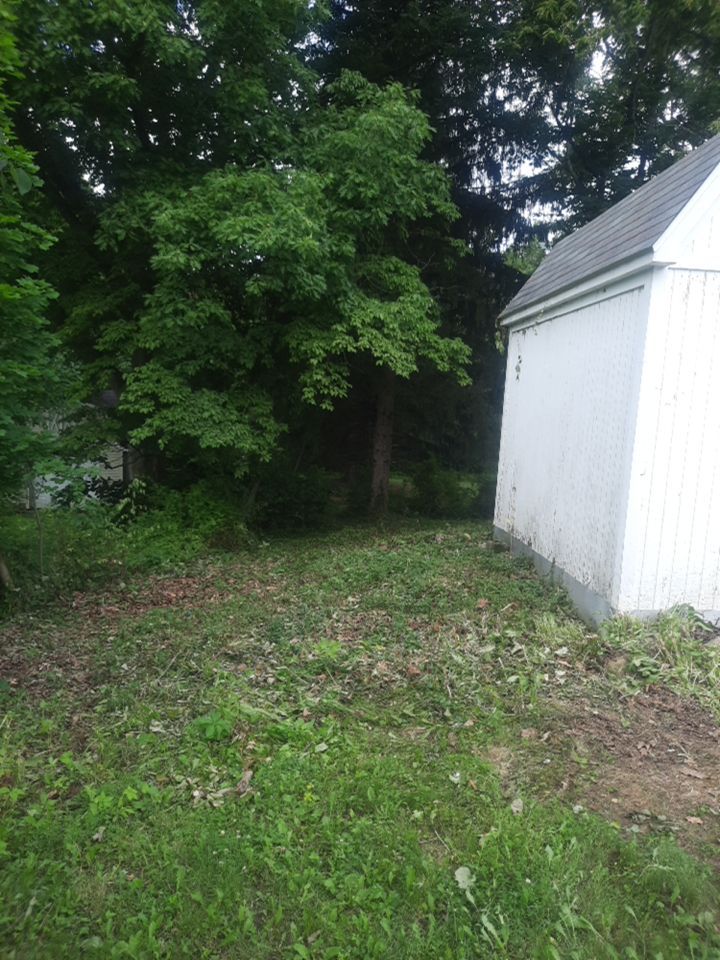 Tree Removal using Tree Removal by Mike Jones & Sons Tree Service LLC 