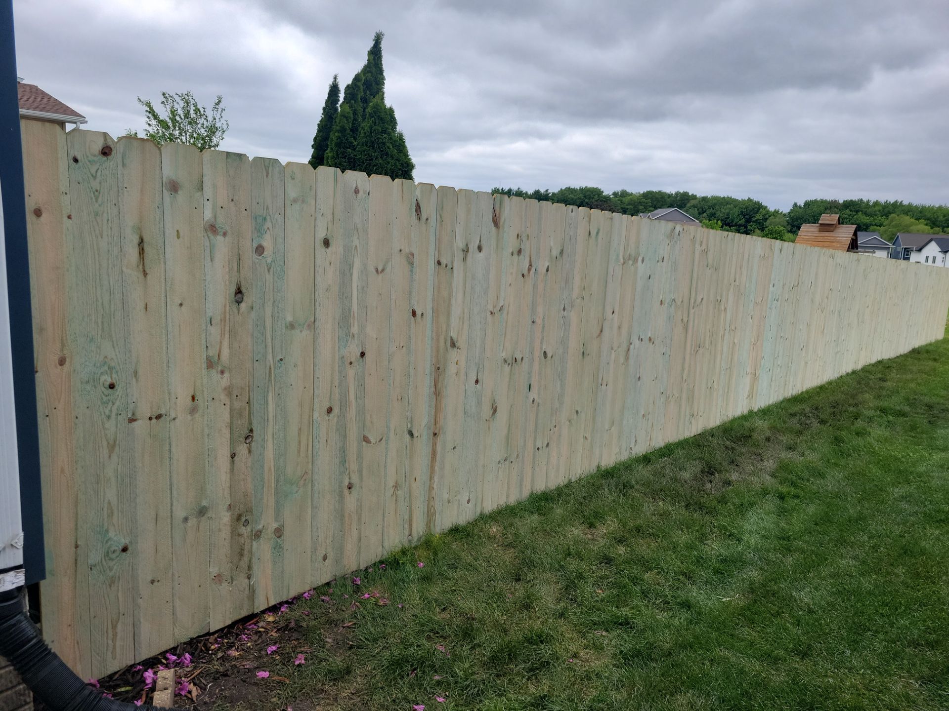 Pressure-Treated Wood Privacy Fence Installation in Waterloo by Perfect Picket Fence and Stain
