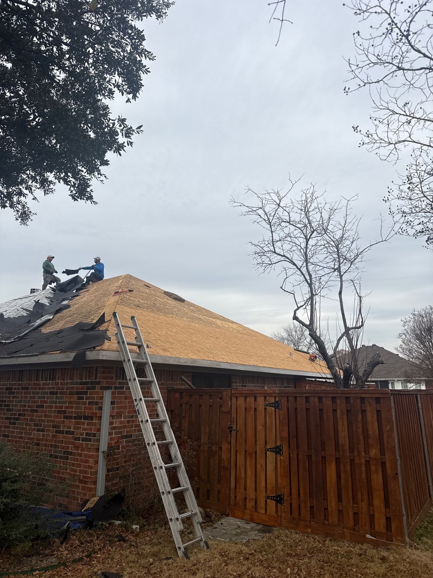 Project in Wylie by Zeus Exteriors