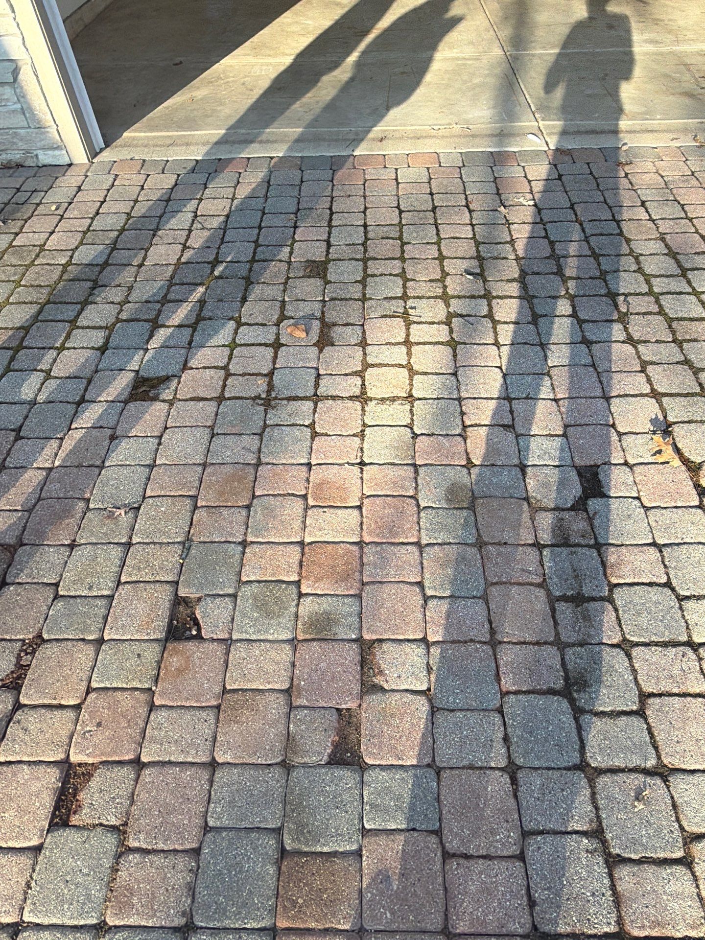 Greg L3 Car Garage by Torq Coatings