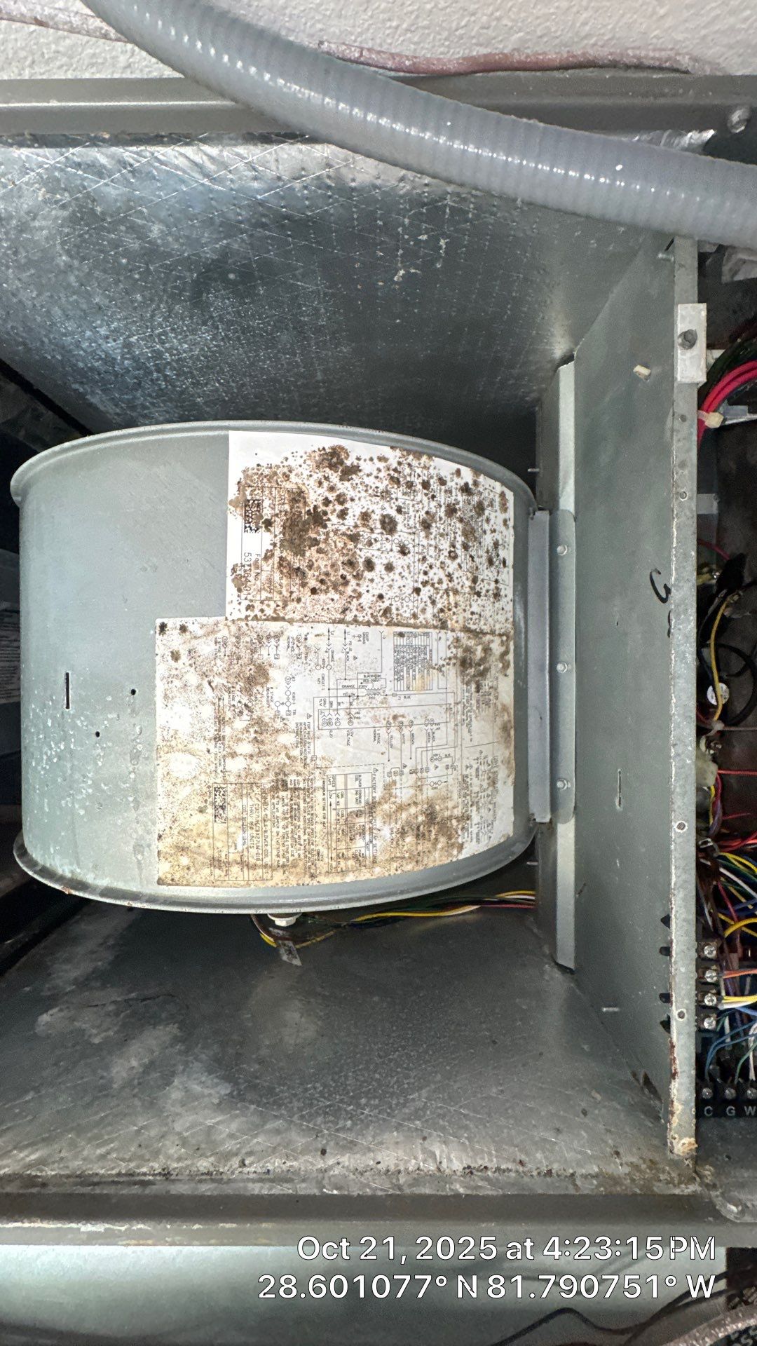 Air Duct and Dryer Vent Cleaning in Groveland by Hygienic Air, Inc