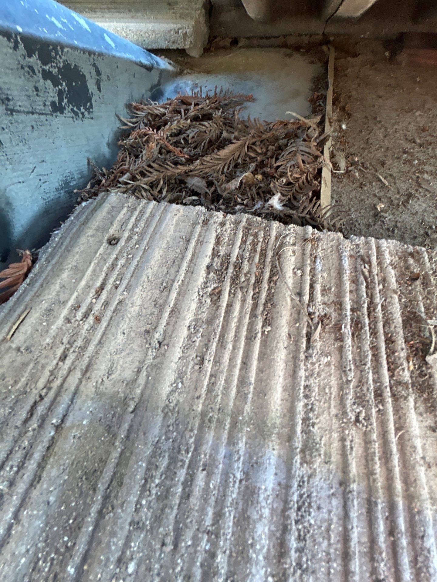 Doug McCauley by CJM Roofing