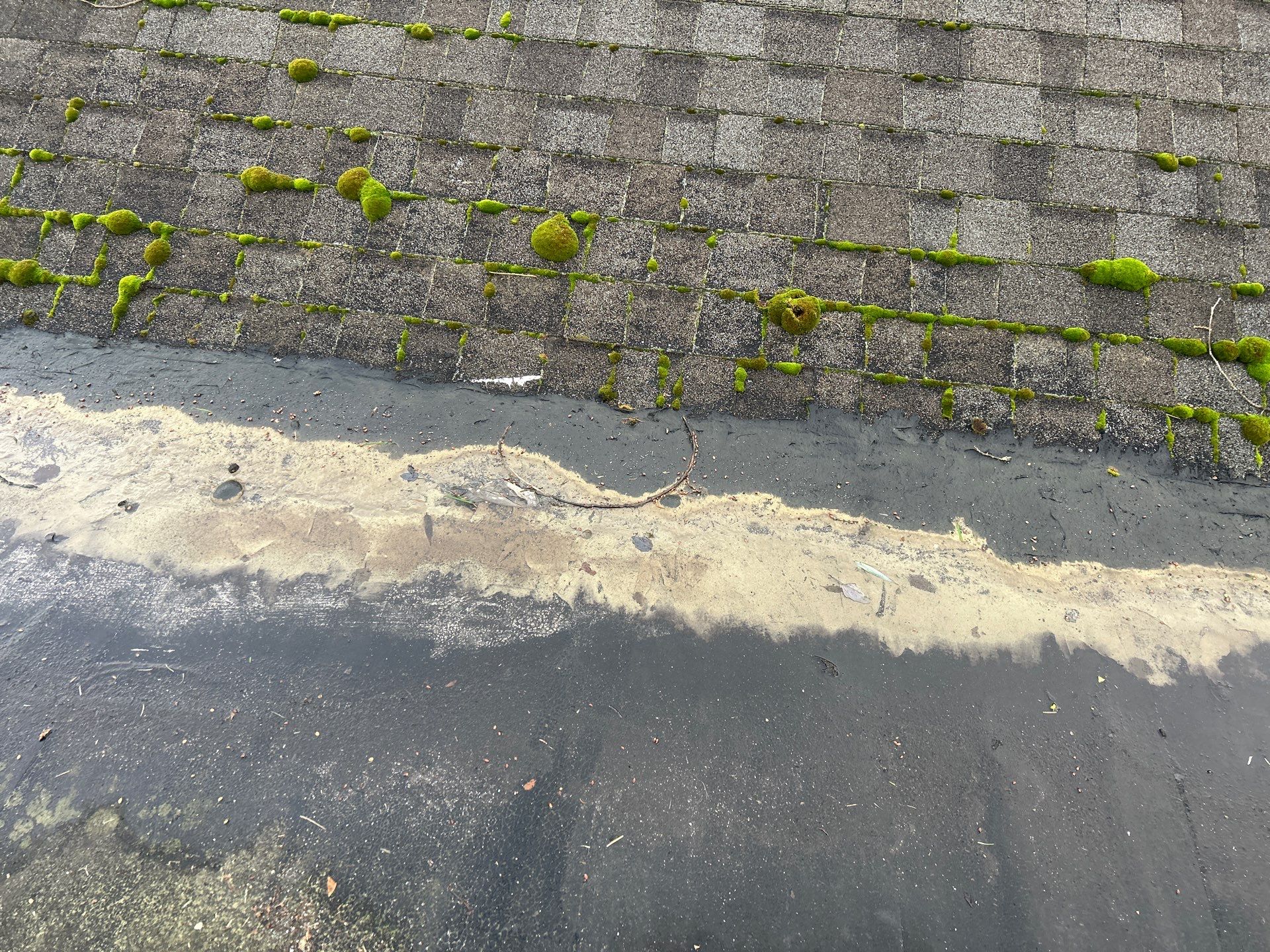 Project in Sedro-Woolley by Connolly Construction Company