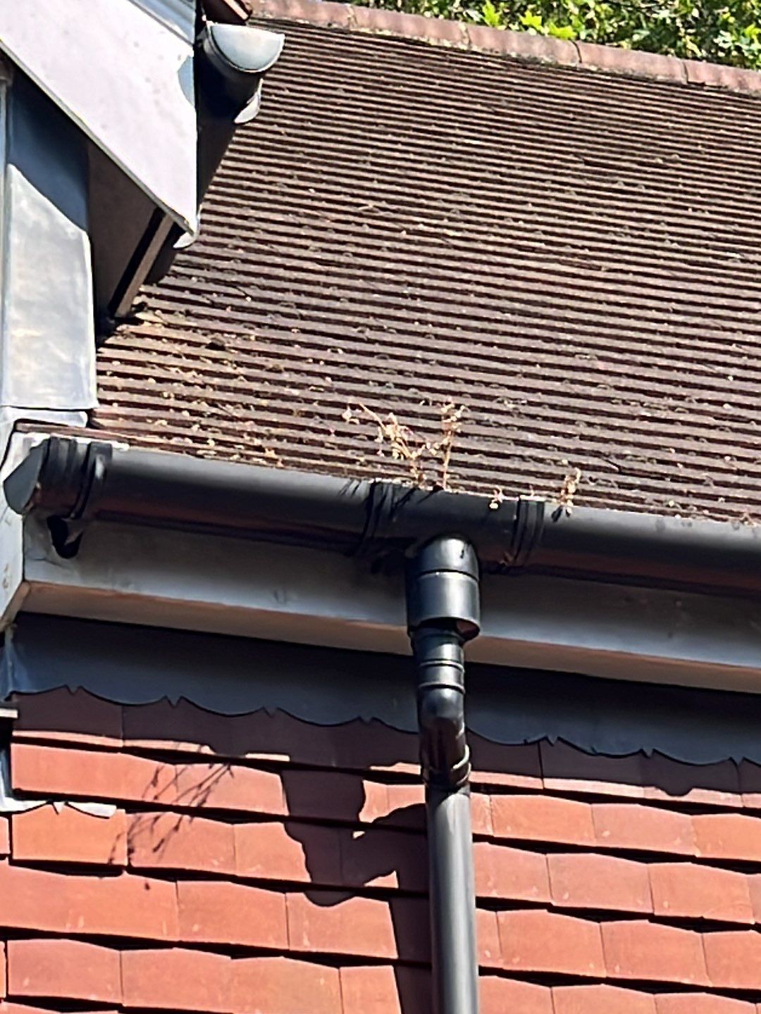 Roof Clean - Biocide Treatment using Honda 15lpm Low Pressure Washing Machine by Ges Exterior Cleaning ltd