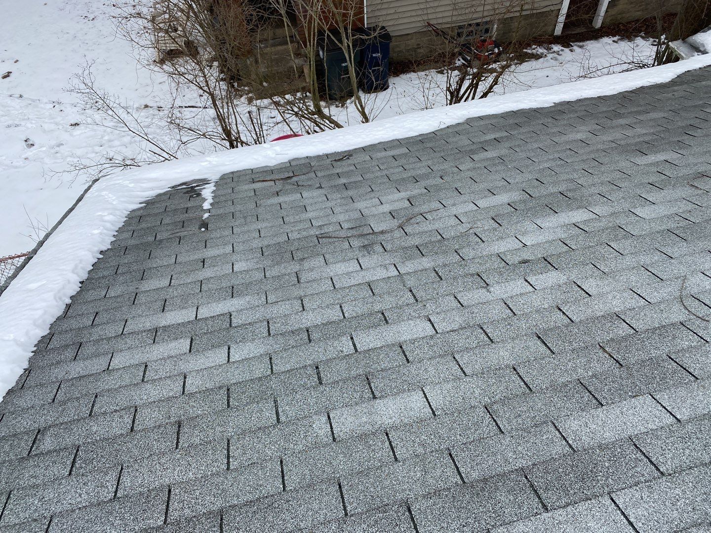 Tina Colegrove by Silver Leaf Contracting 