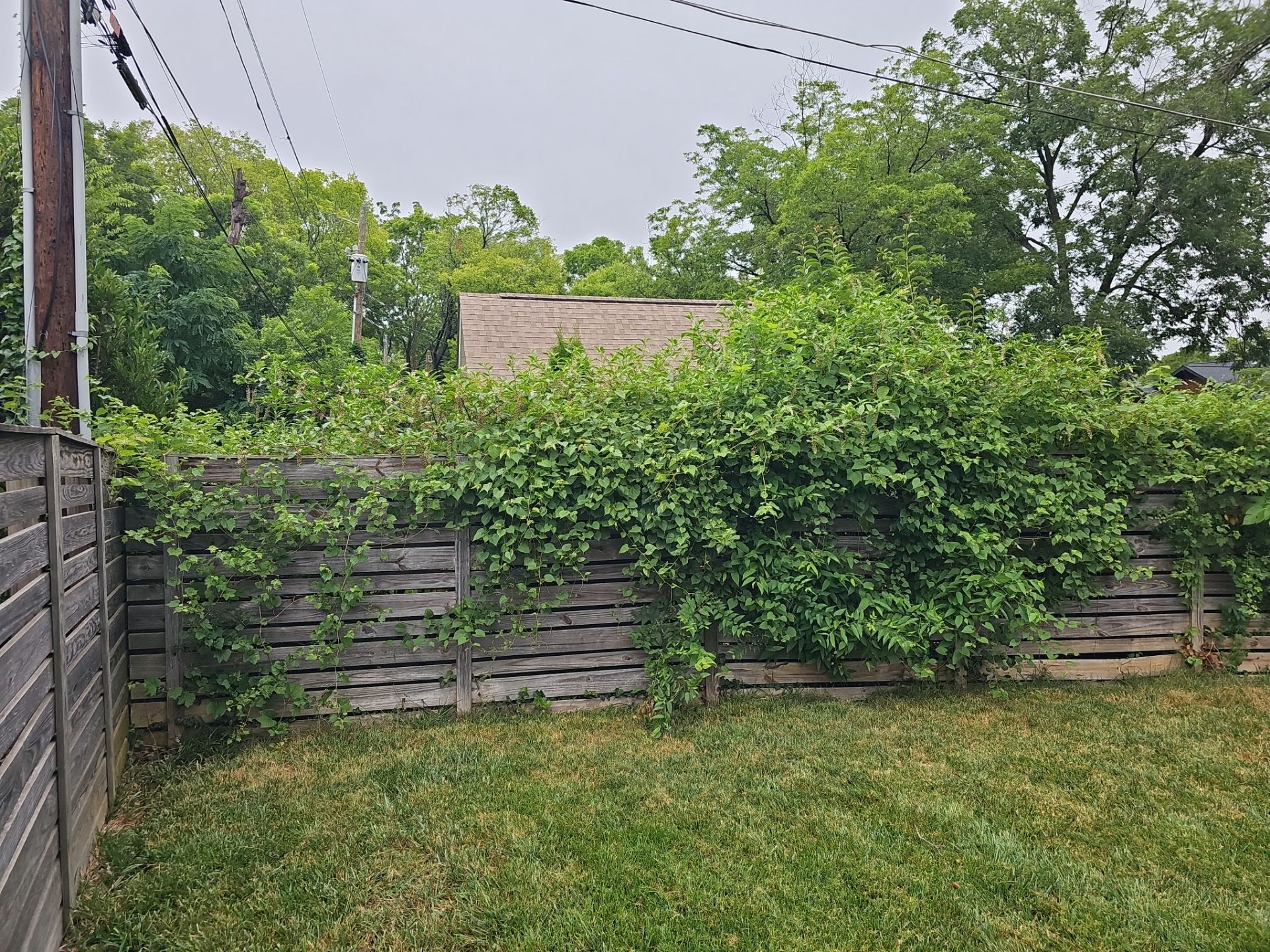 LeBlanc Clean Up Project  by Carolina-Metro Landscape, Inc