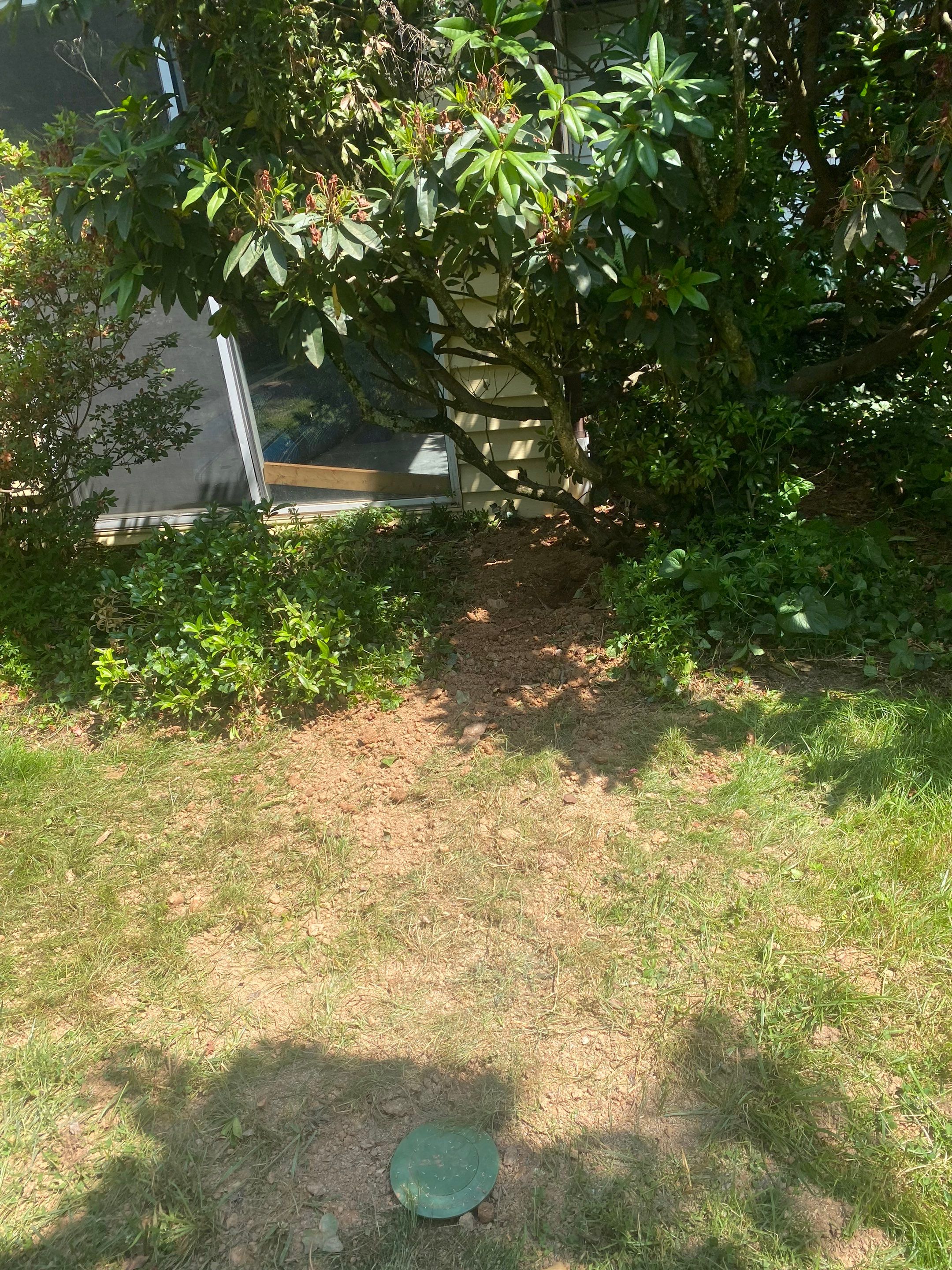Landscape cleanup & drainage by The Smet Companies, LLC