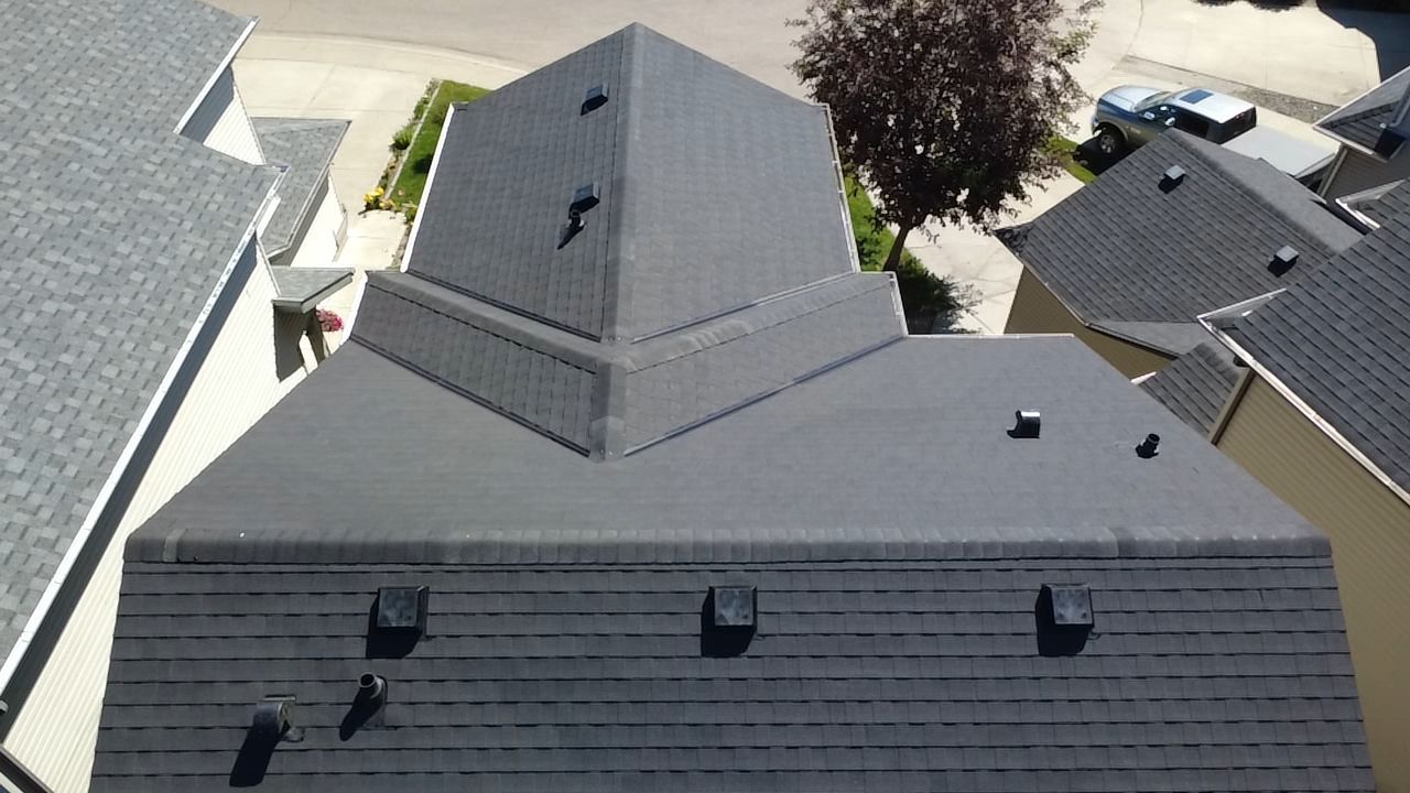 Kanji on Signature Series by 2thetop Roofing