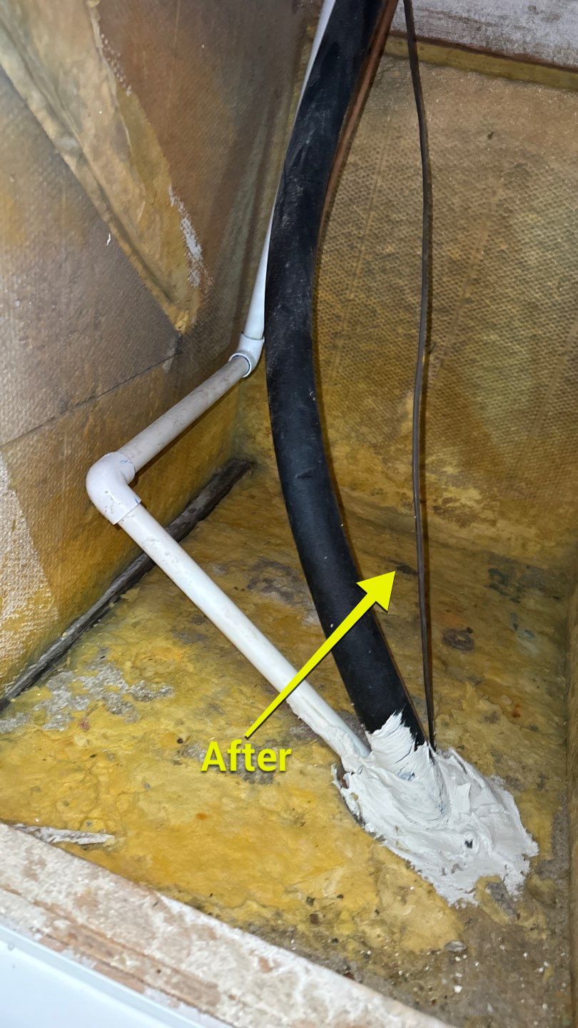 Air Duct Cleaning in Tavares by Hygienic Air, Inc