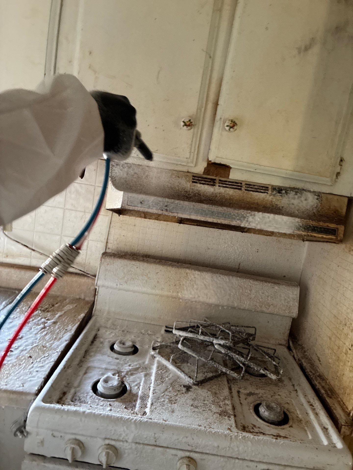 Project in Auburn by 911 Hazmat Cleanup 