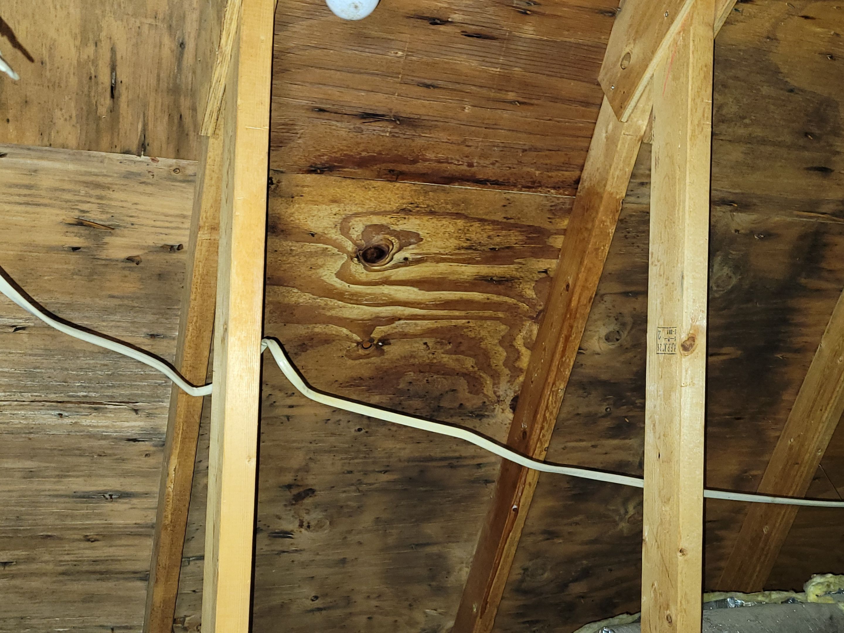 Attic Mold Remediation by Chicagoland Water Medics