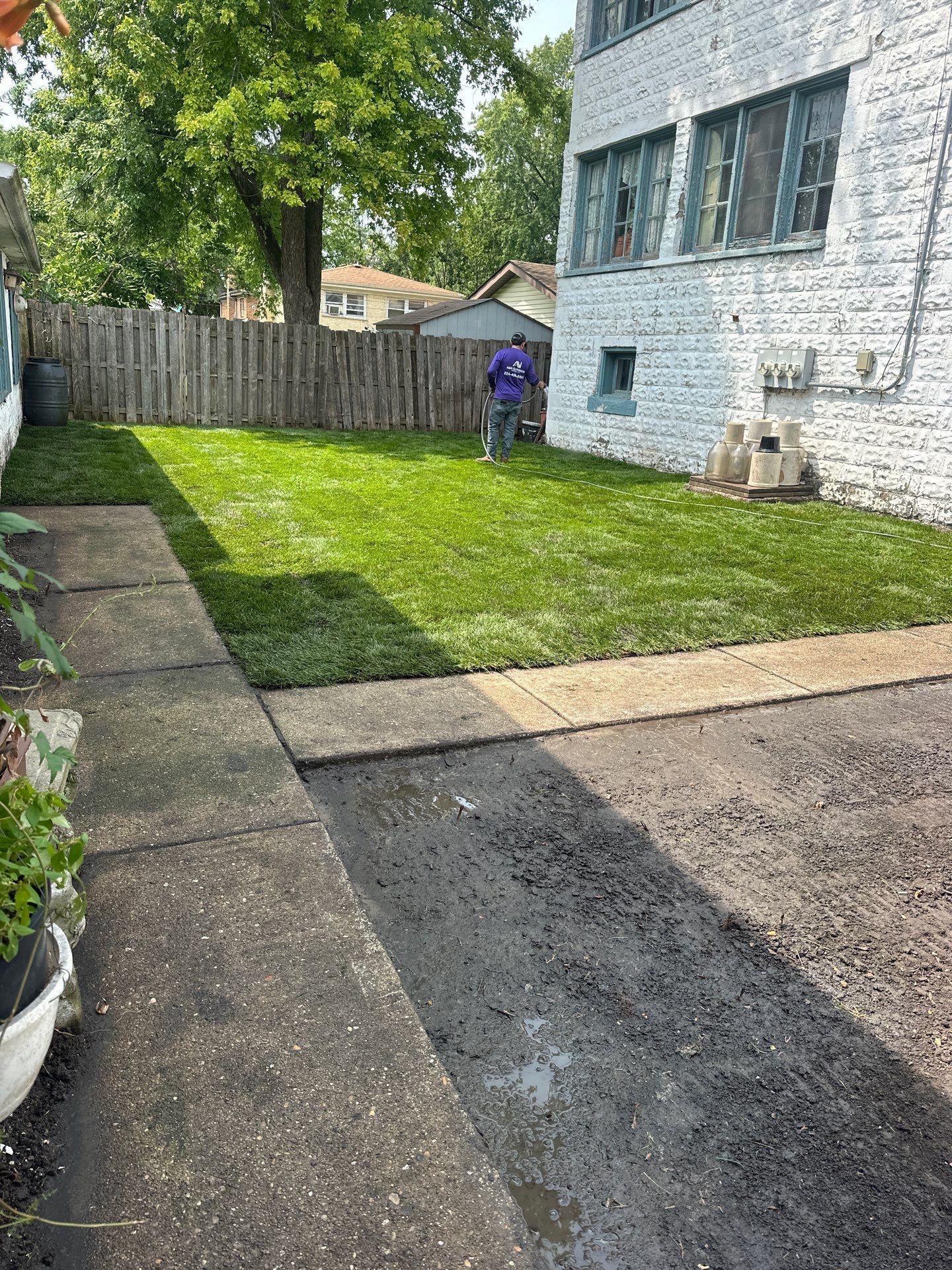 Michal Ann L. - Des Plaines, IL by A&N