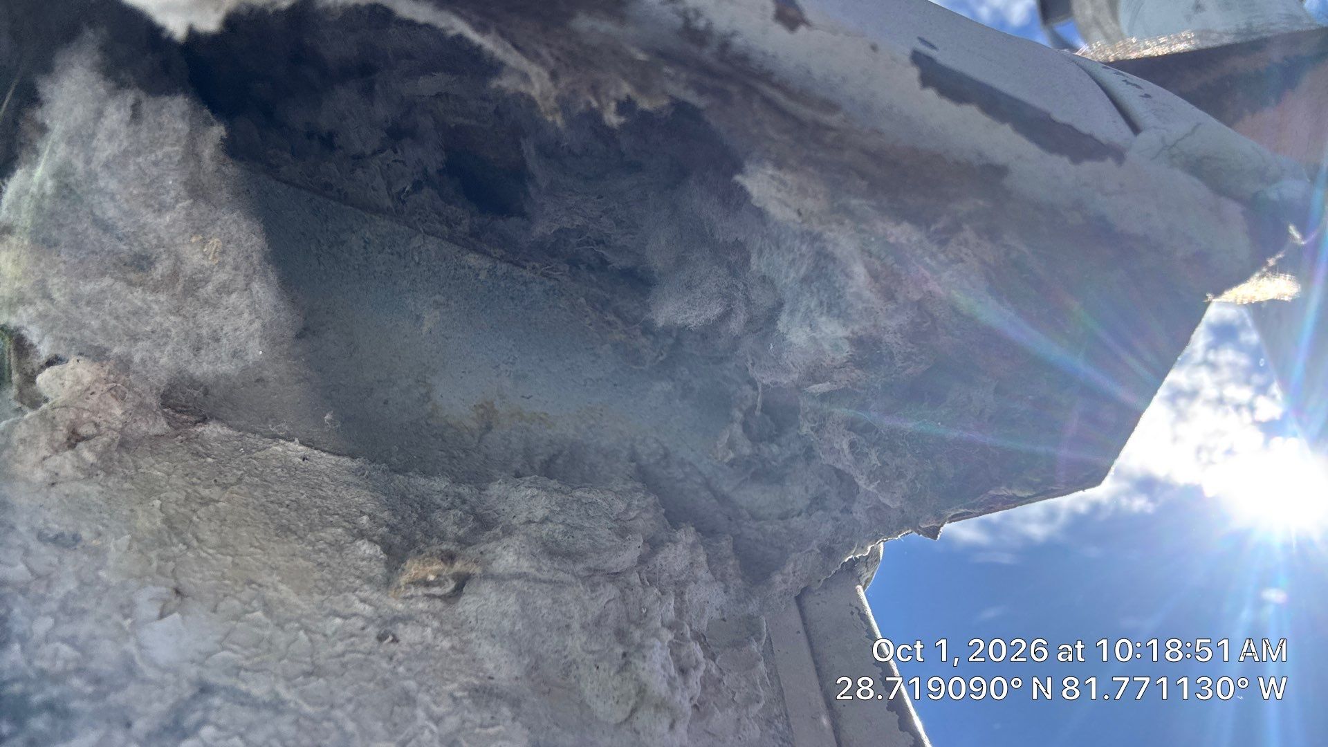 Dryer Vent Lint Removal in Howey-in-the-Hills by Hygienic Air, Inc