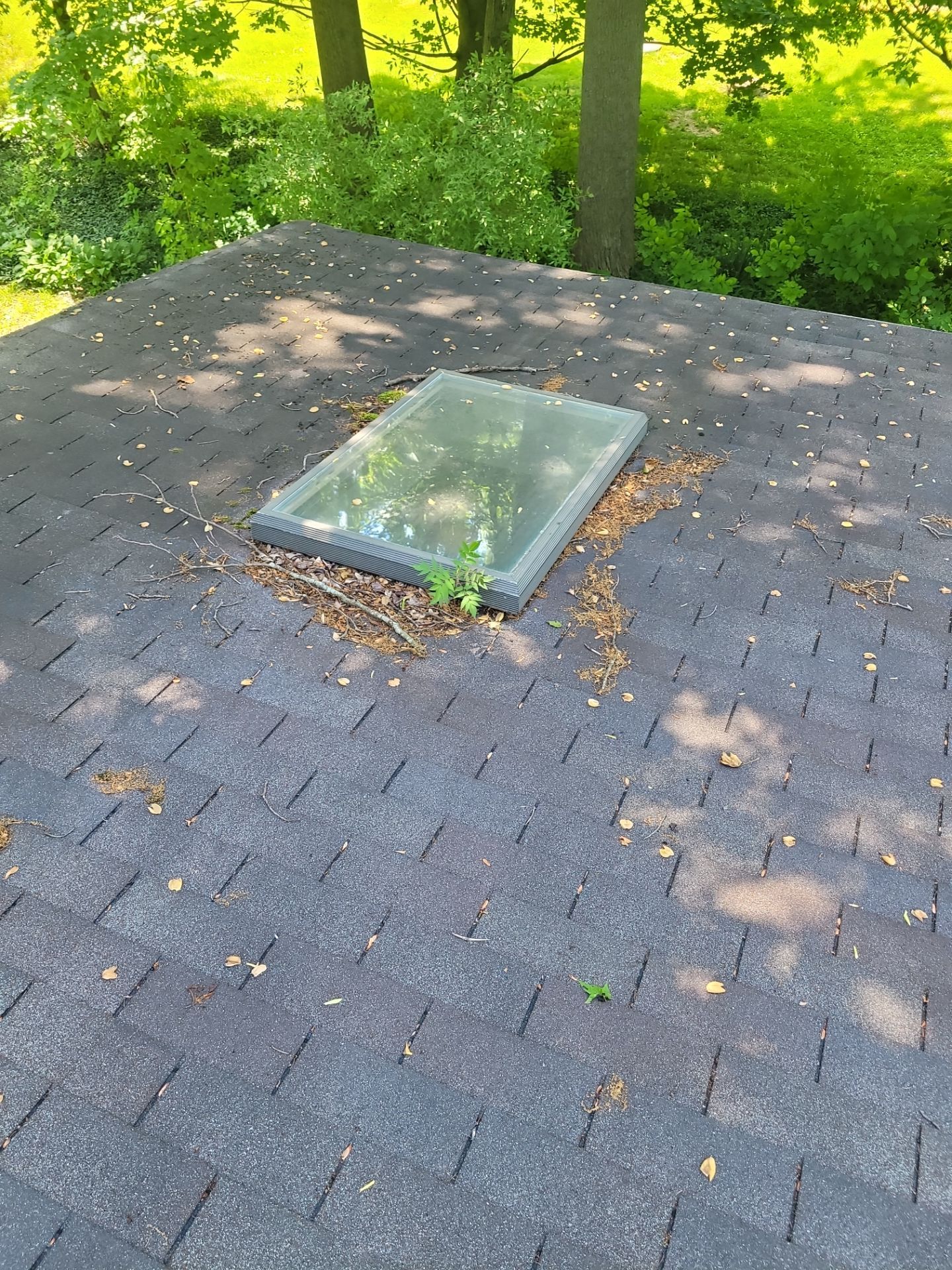 Linda Mertus by Silver Leaf Contracting 