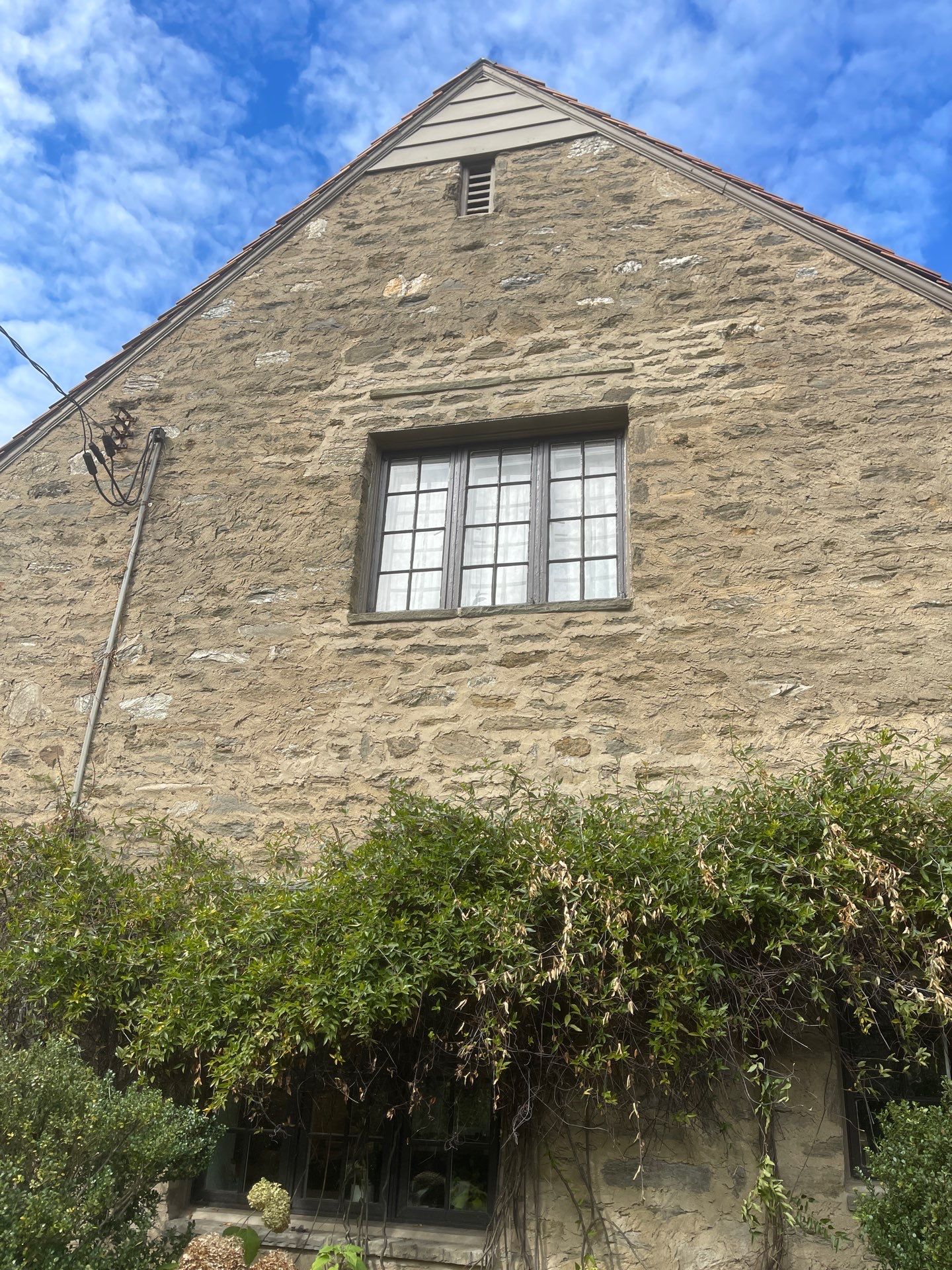 Exterior Ironwork and Window Refresh in Wyndmoor by Groovy Hues